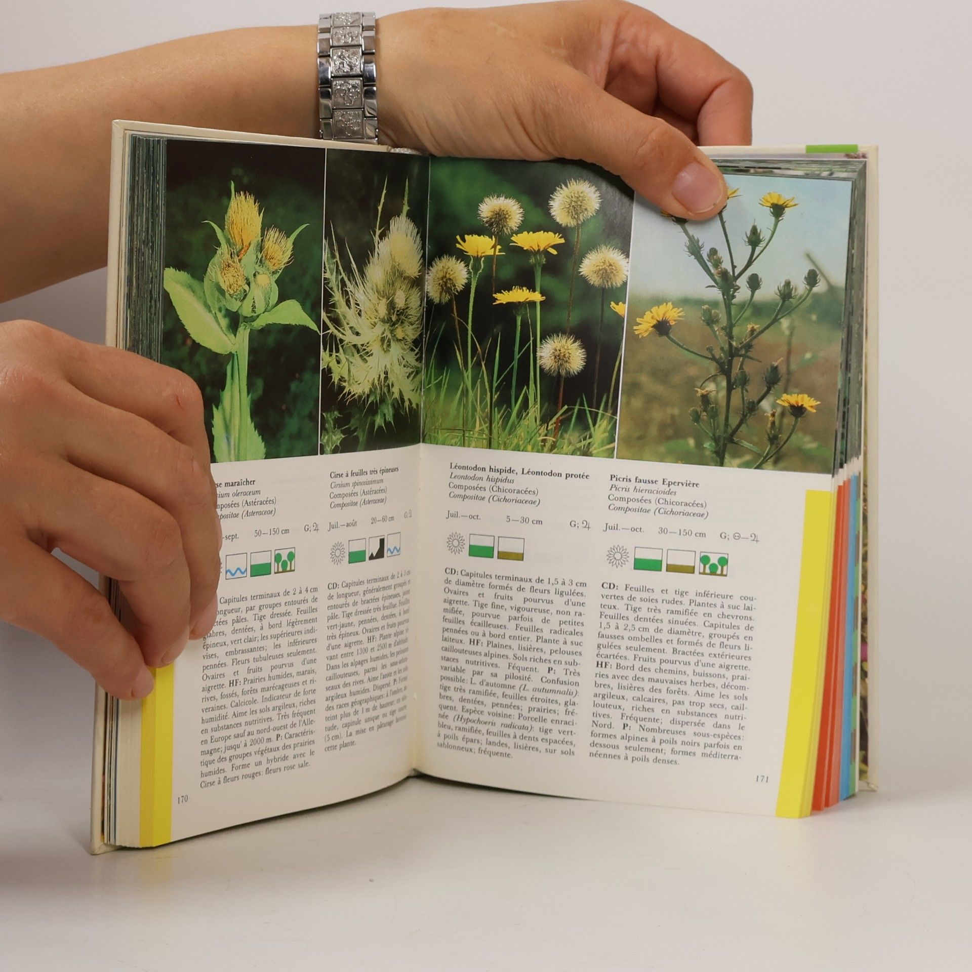 Dietmar Aichele Guide des fleurs sauvages