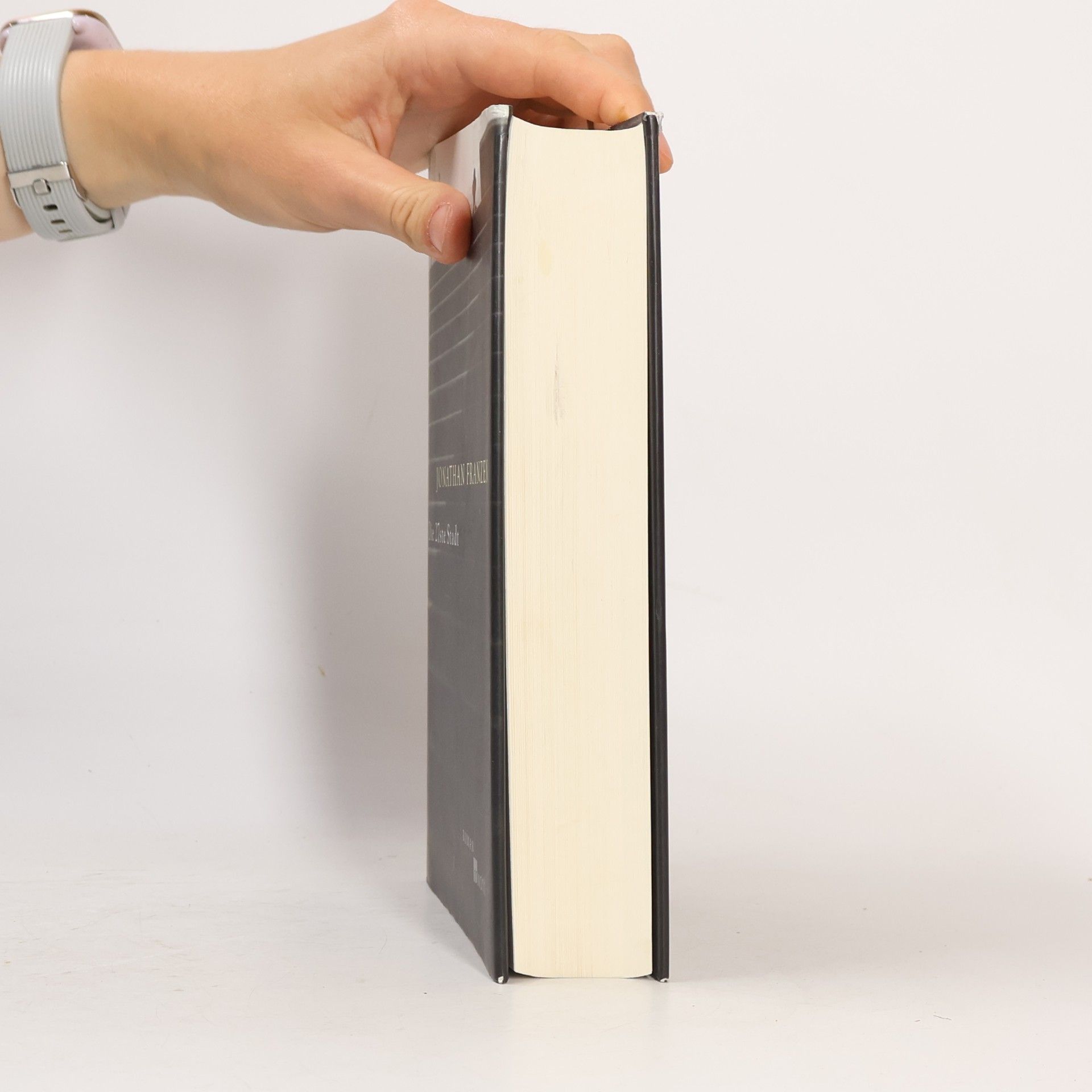 Jonathan Franzen Die 27ste Stadt