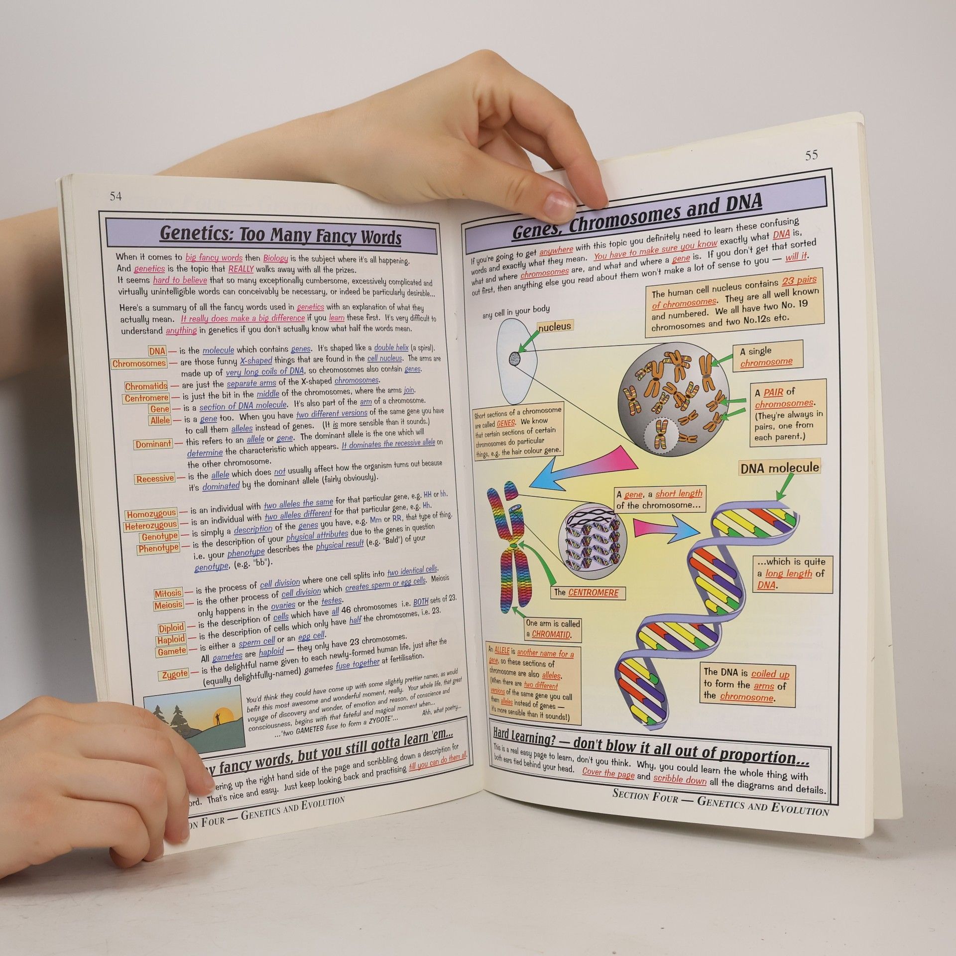 Richard Parsons GCSE Double Science Biology The Revision Guide