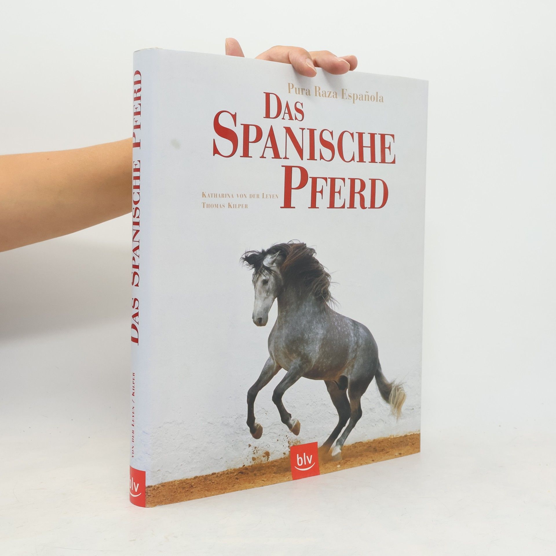 Thomas Kilper Das spanische Pferd