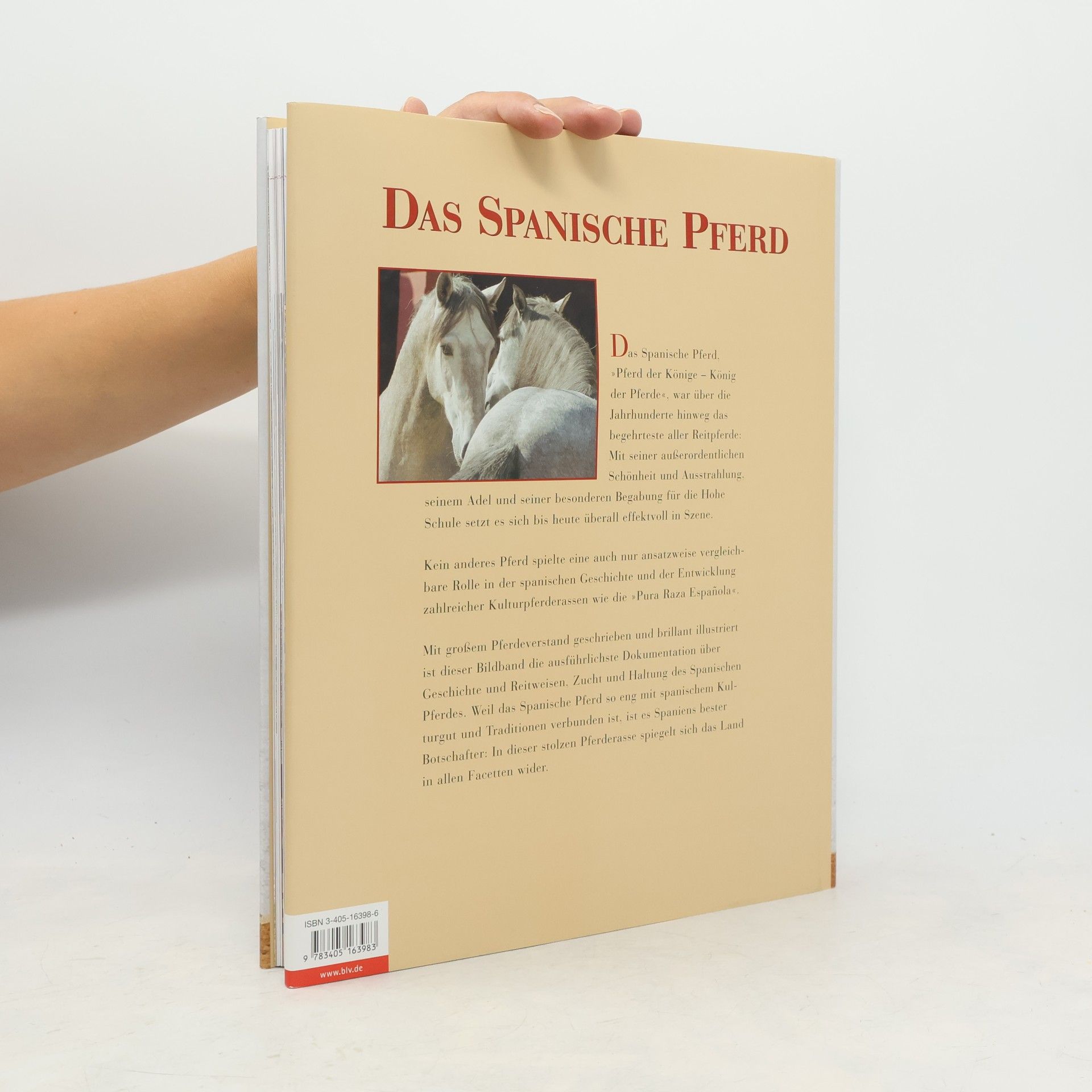 Katharina Leyen Das spanische Pferd