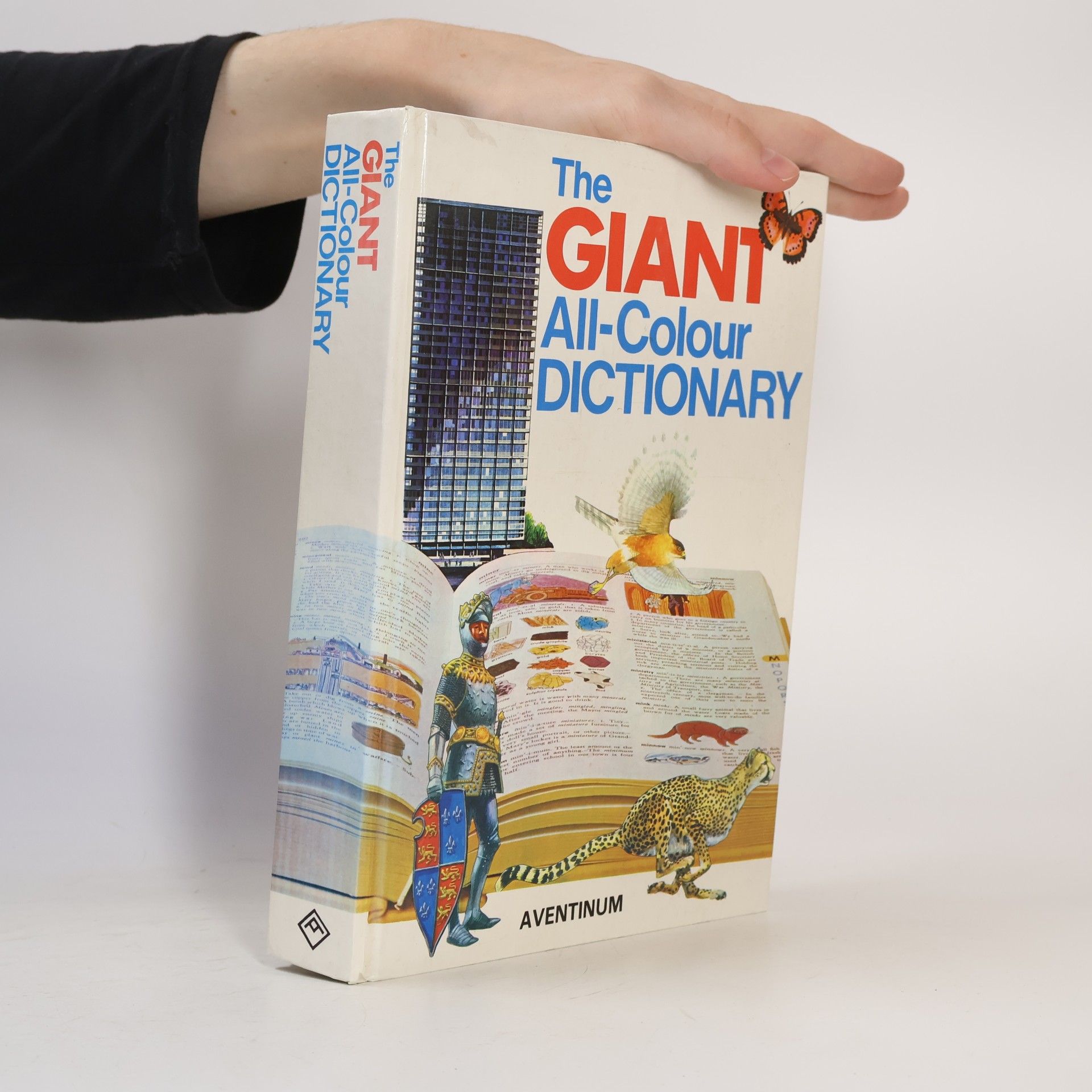 Stuart A. Courtis The Giant All-Colour Dictionary