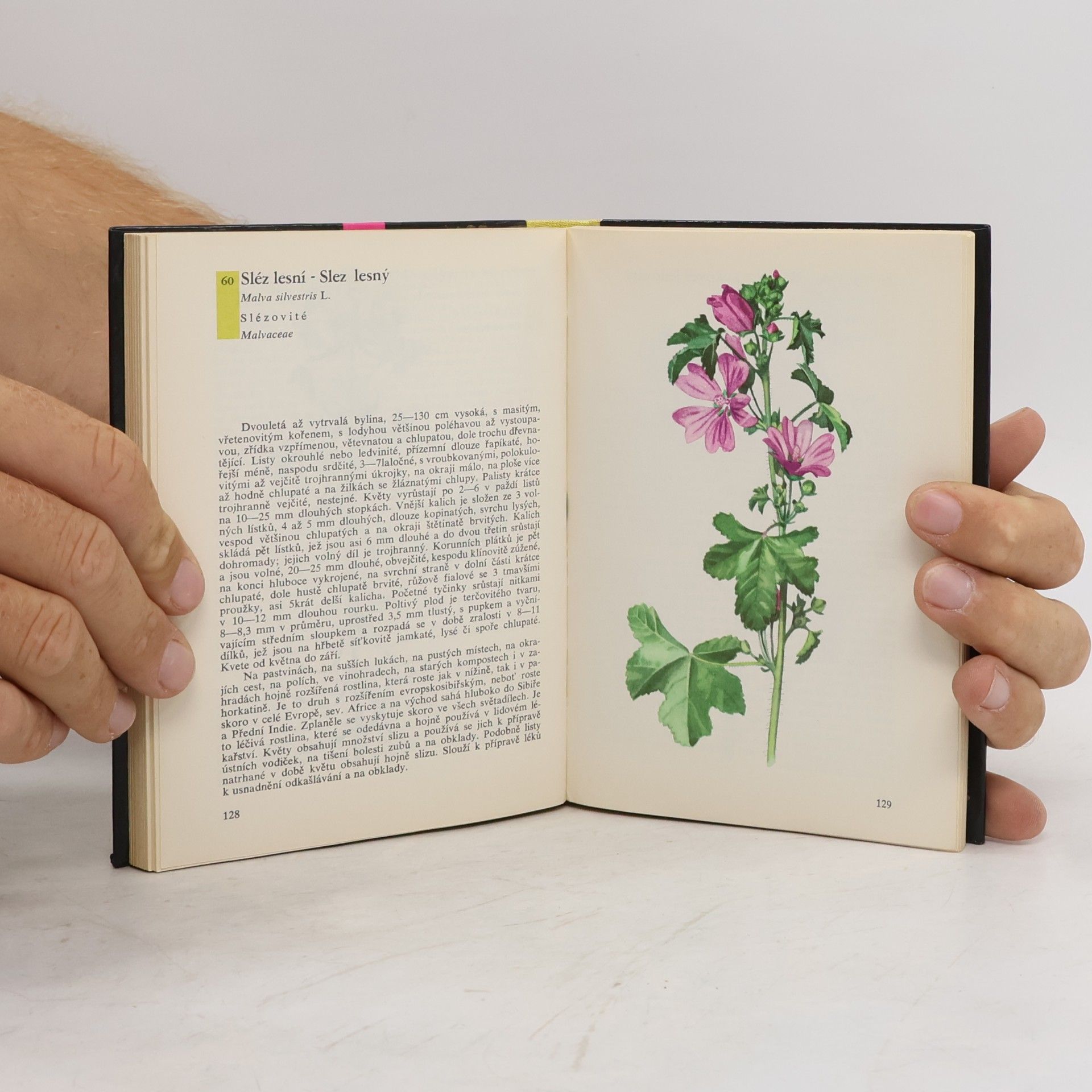 Albert Pilát Kapesní atlas rostlin