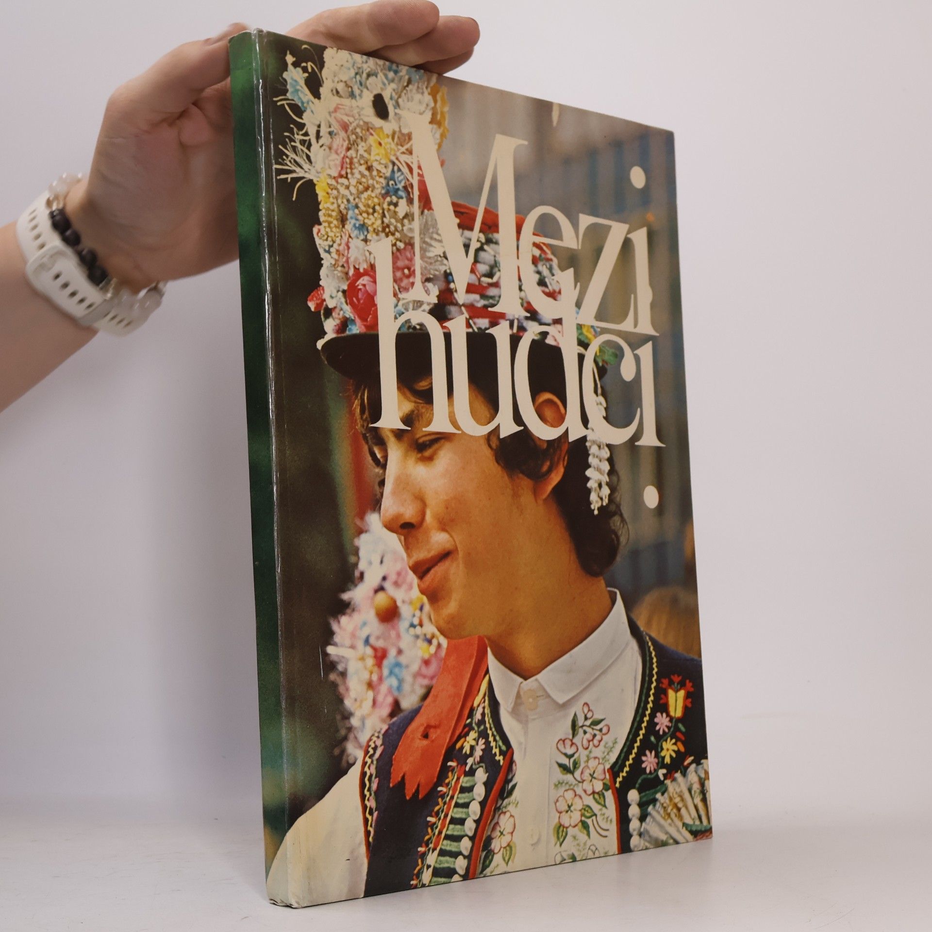 Mezi hudci. Slavnosti lidových písní a tanců v Čechách a na Moravě