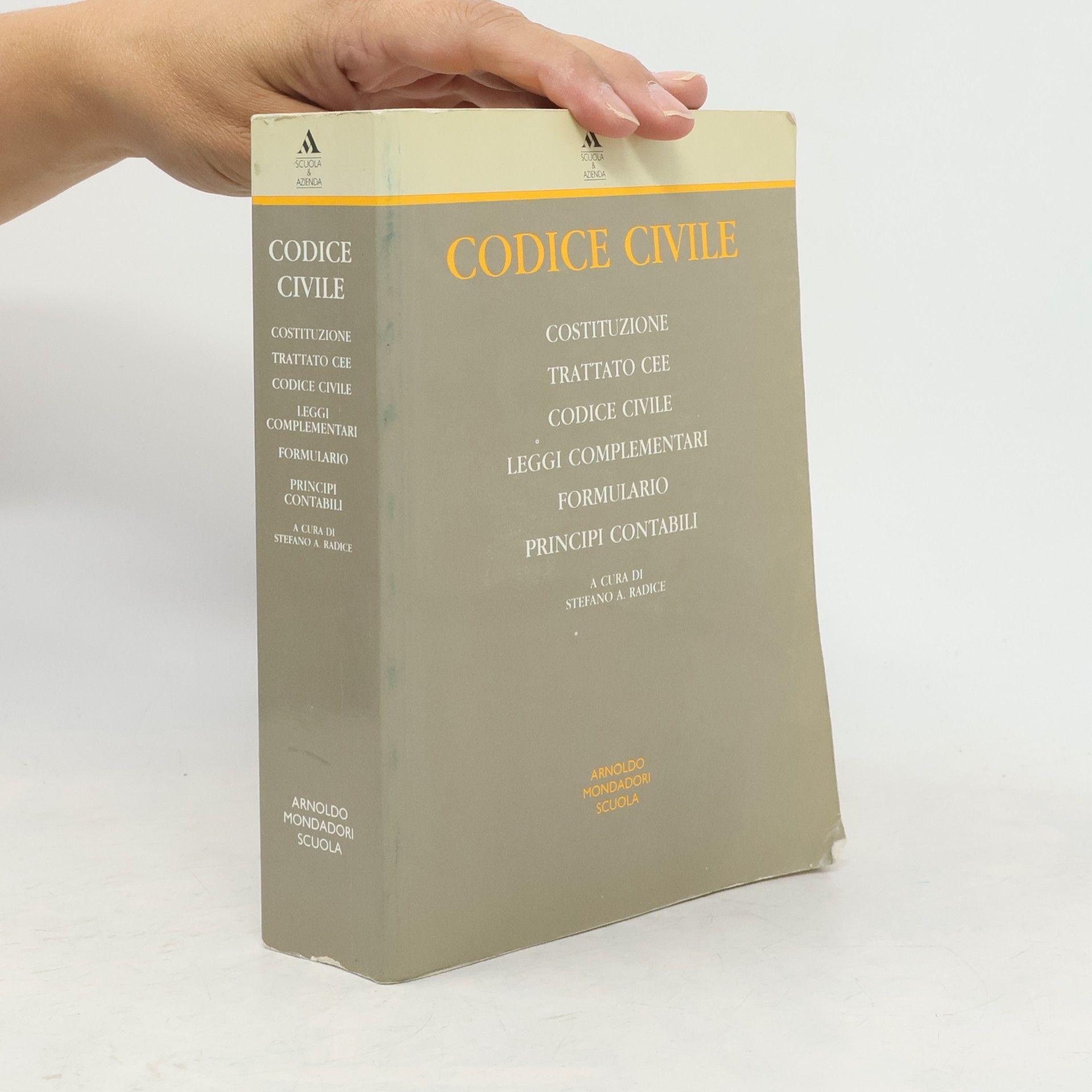 Stefano A. Radice Codice Civile