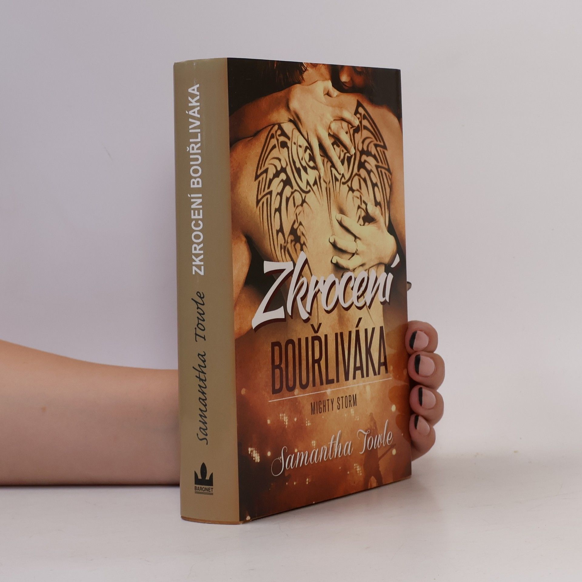 Samantha Towle Zkrocení bouřliváka
