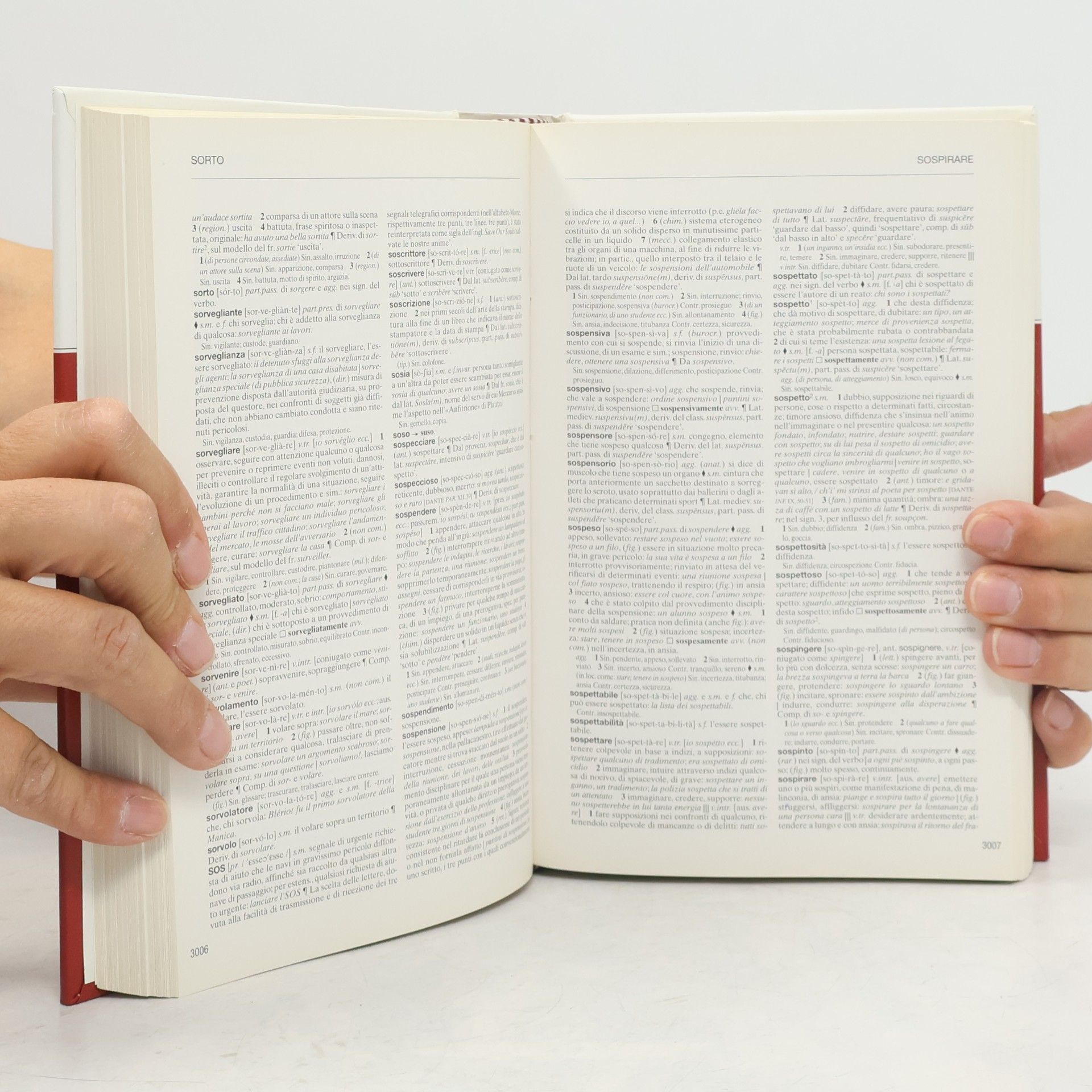 Autorenkollektiv l'Enciclopedia. Dizionario di Italiano 24. Rovi-Z