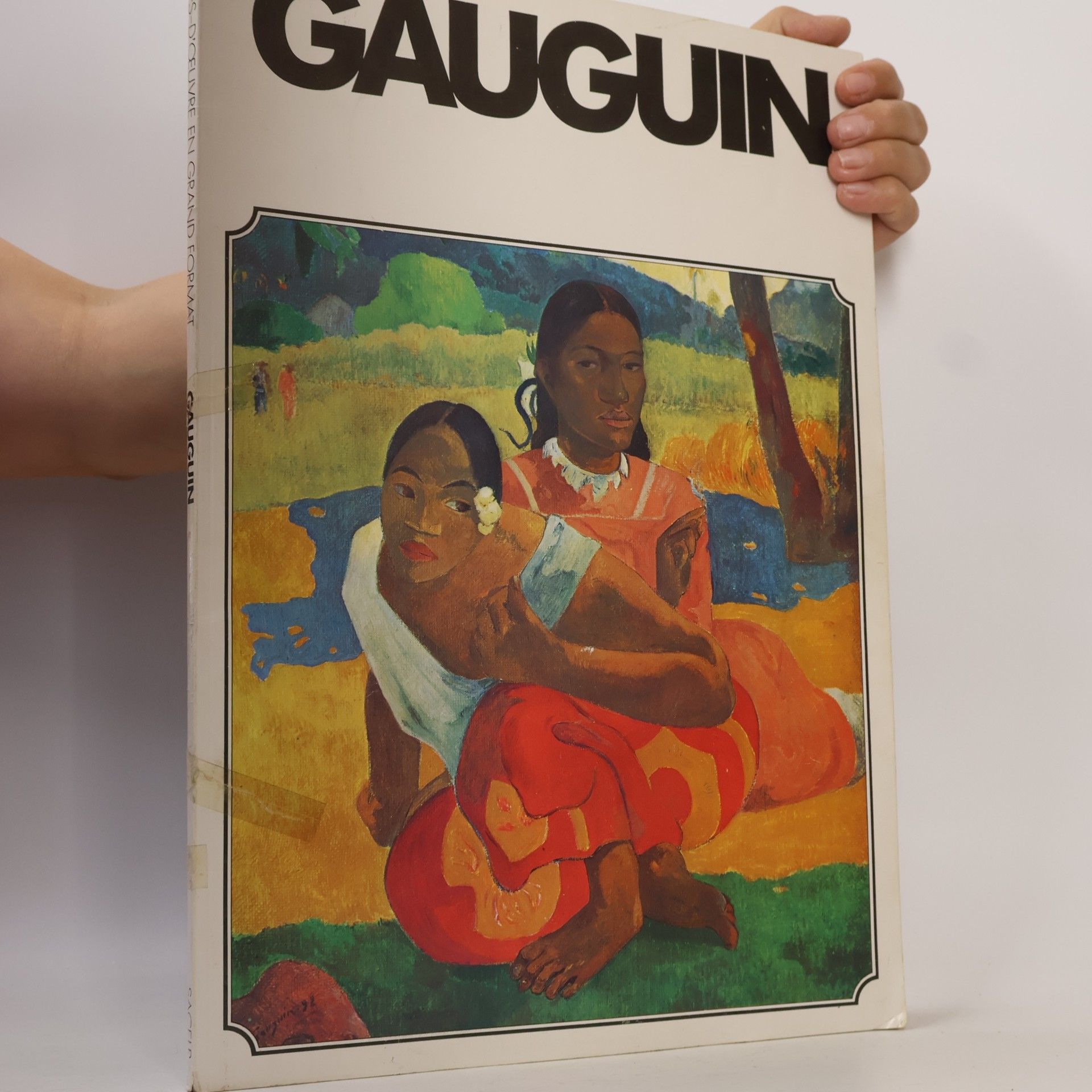 AA.VV. Gauguin