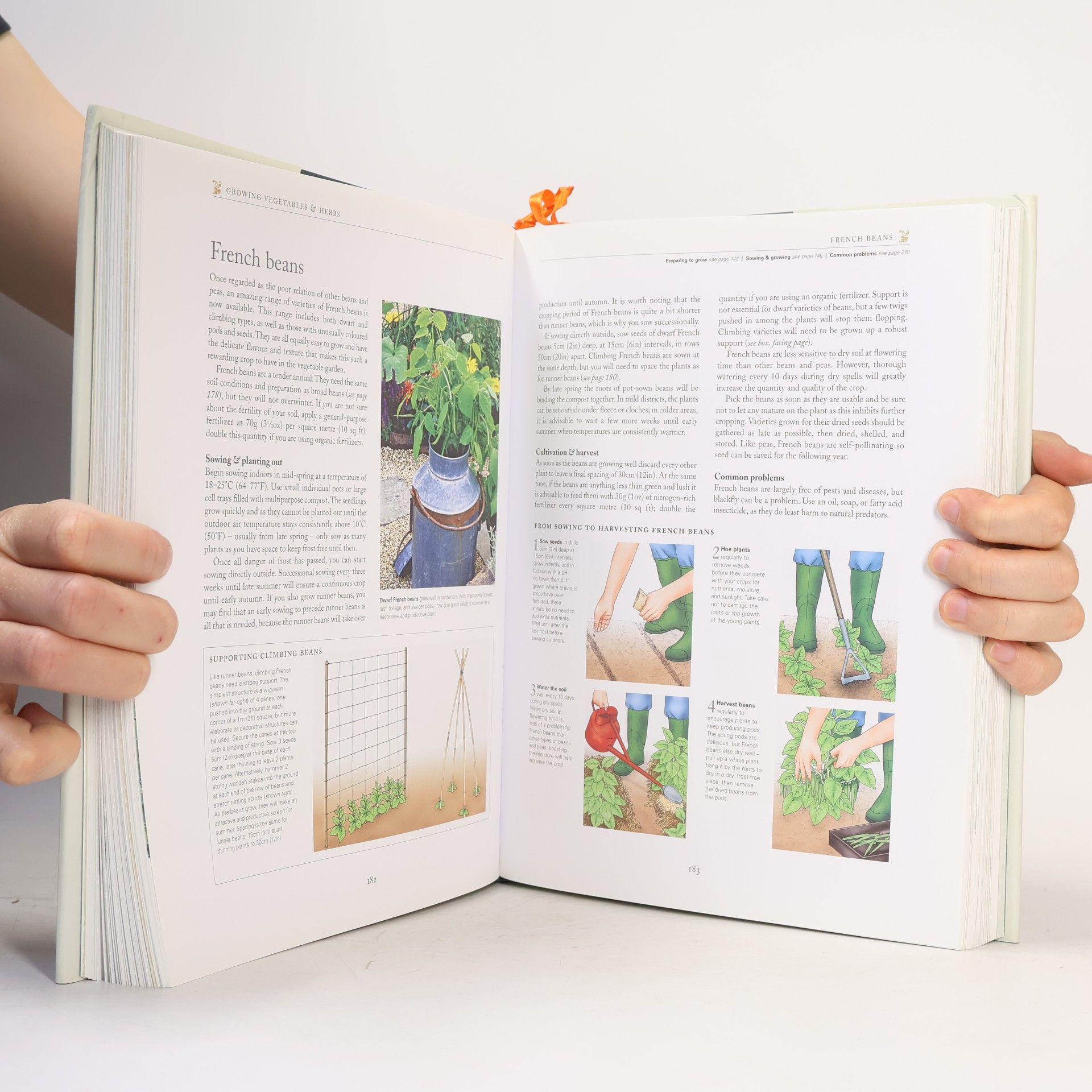 Simon Akeroyd RHS New Encyclopedia of Gardening Techniques