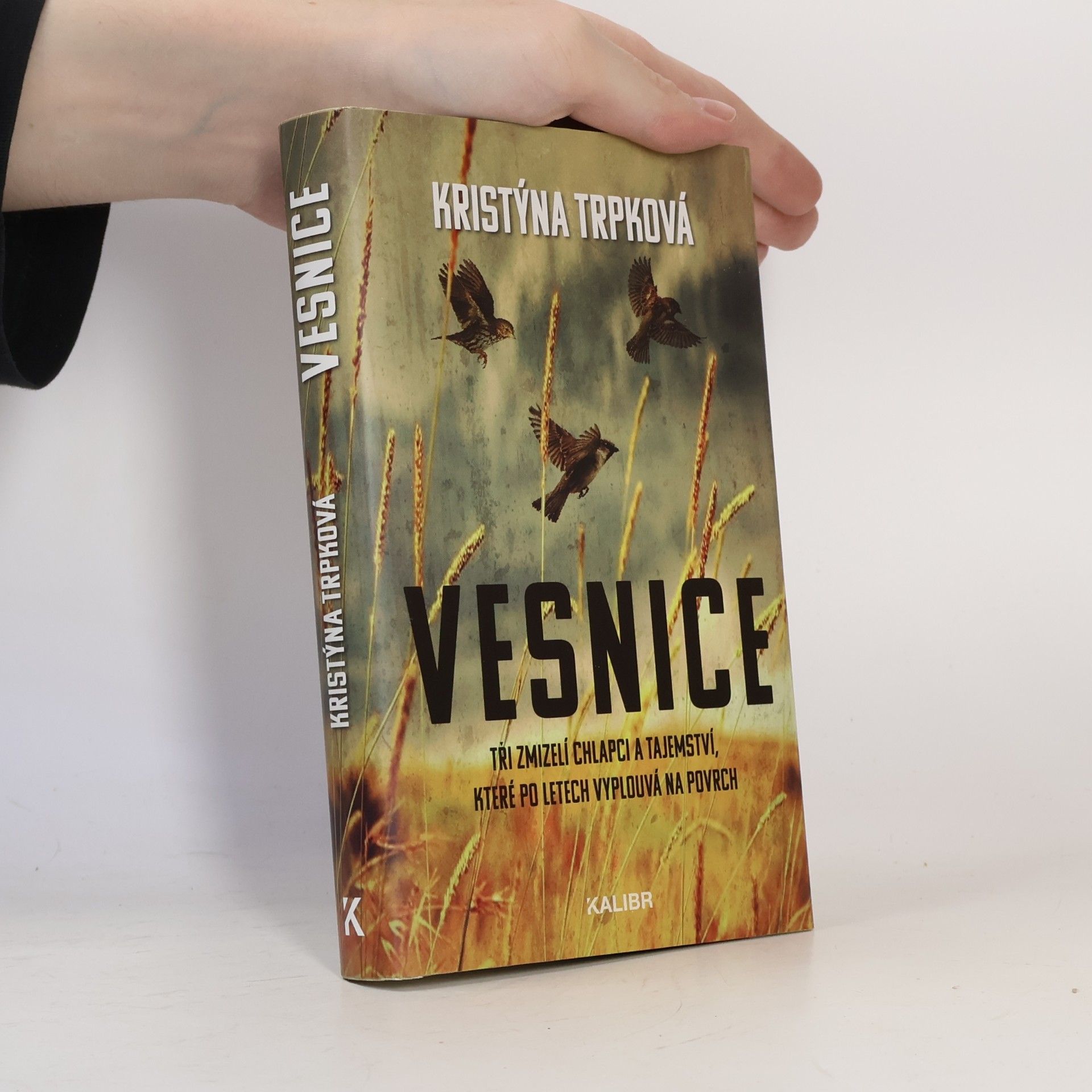 Kristýna Trpková Vesnice
