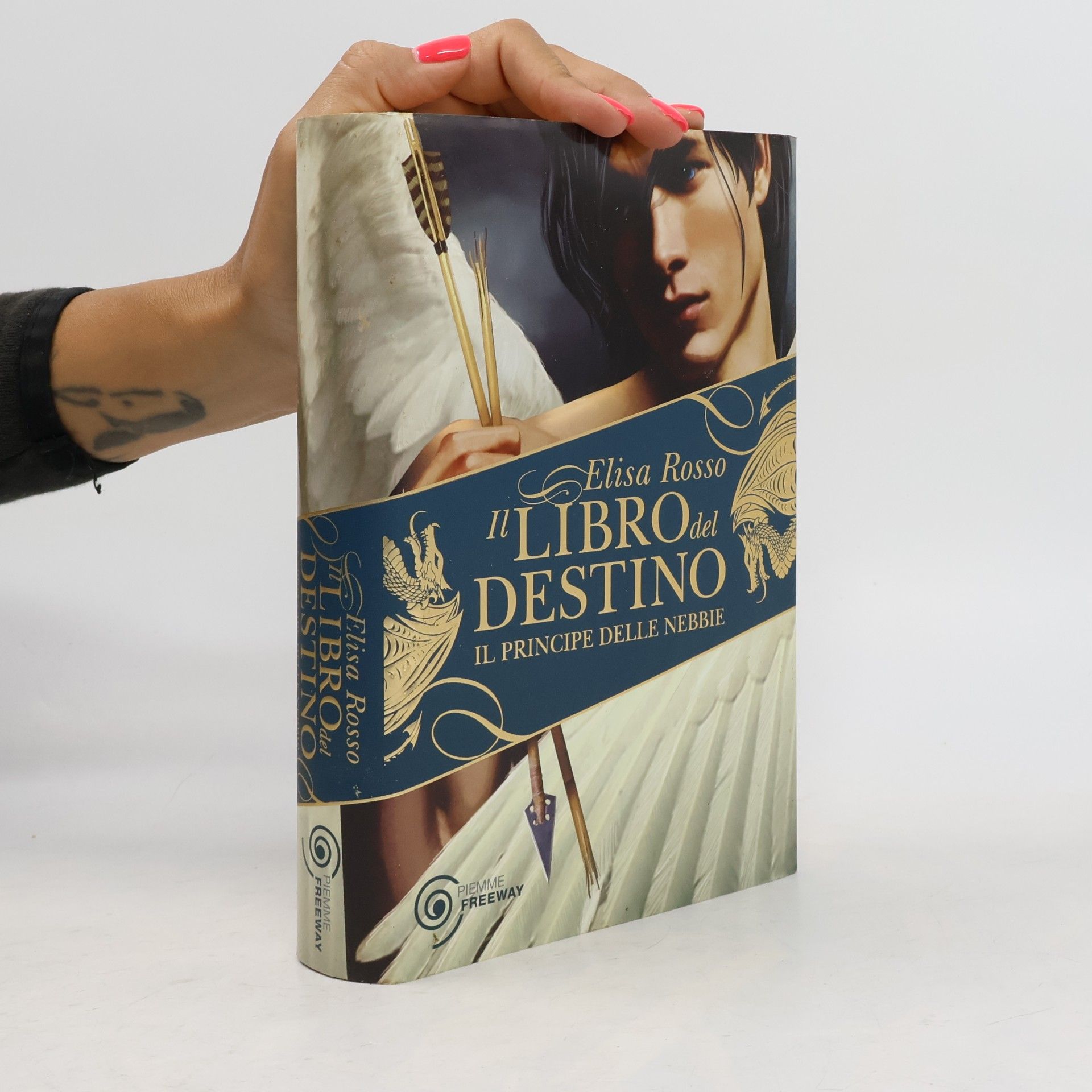 Rosso, Elisa Il principe delle nebbie. Il libro del destino (Freeway)