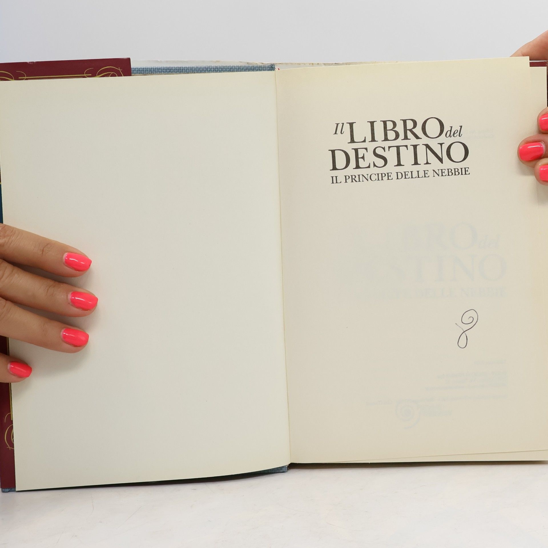 Rosso, Elisa Il principe delle nebbie. Il libro del destino (Freeway)