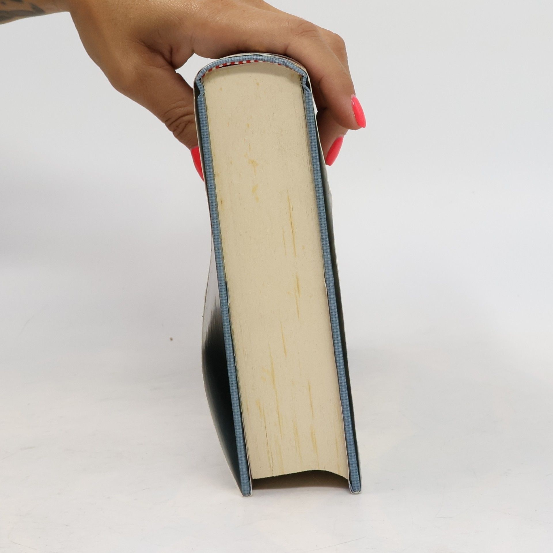 Rosso, Elisa Il principe delle nebbie. Il libro del destino (Freeway)