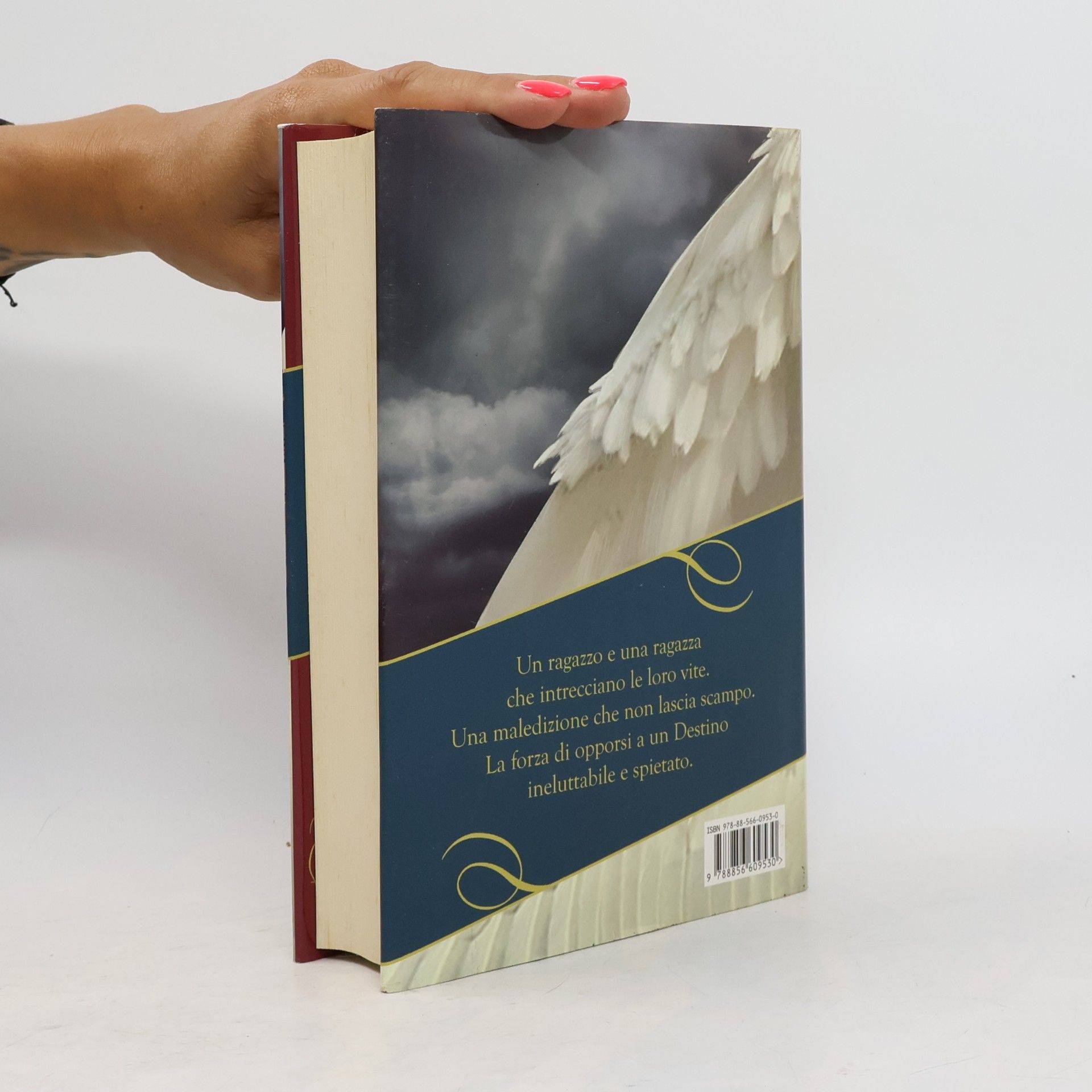 Rosso, Elisa Il principe delle nebbie. Il libro del destino (Freeway)
