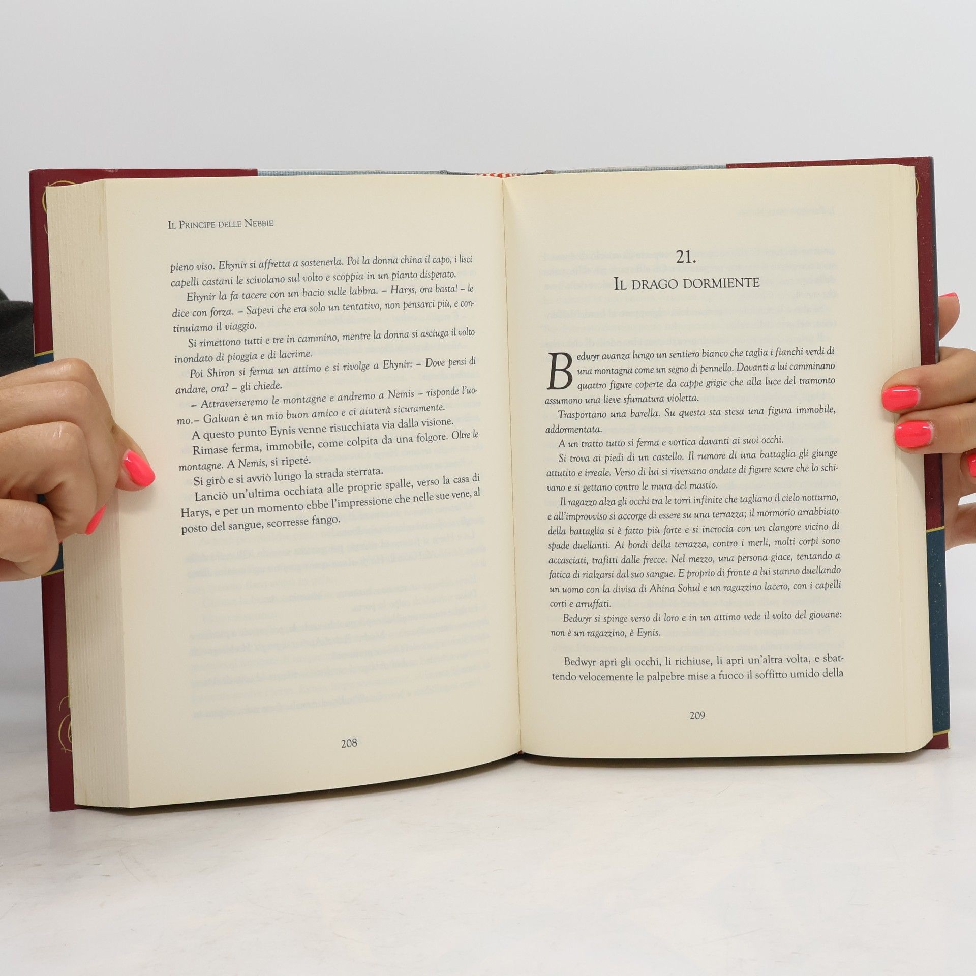 Rosso, Elisa Il principe delle nebbie. Il libro del destino (Freeway)