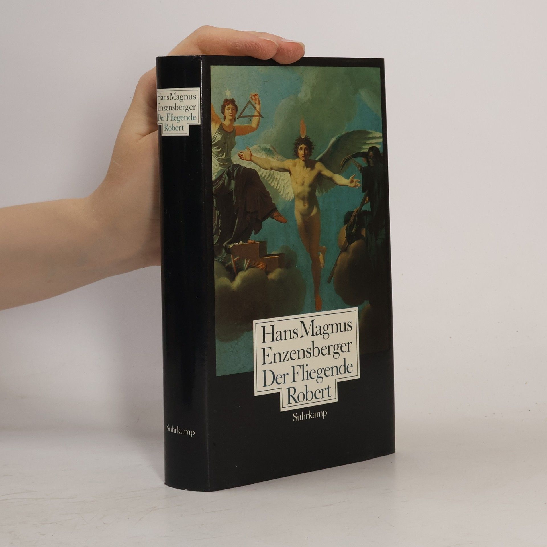 Hans Magnus Enzensberger Der Fliegende Robert