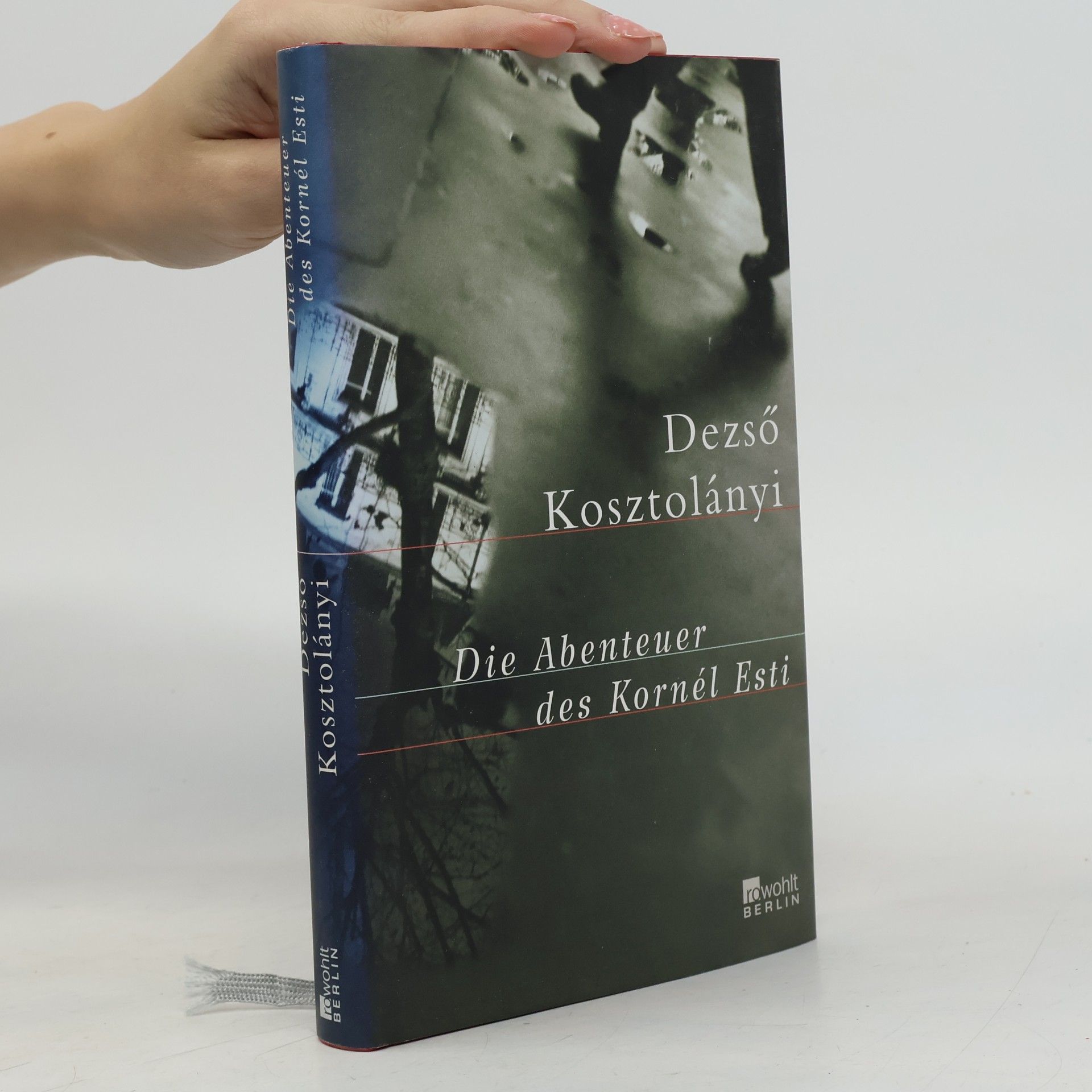 Dezső Kosztolányi Die Abenteuer des Kornél Esti