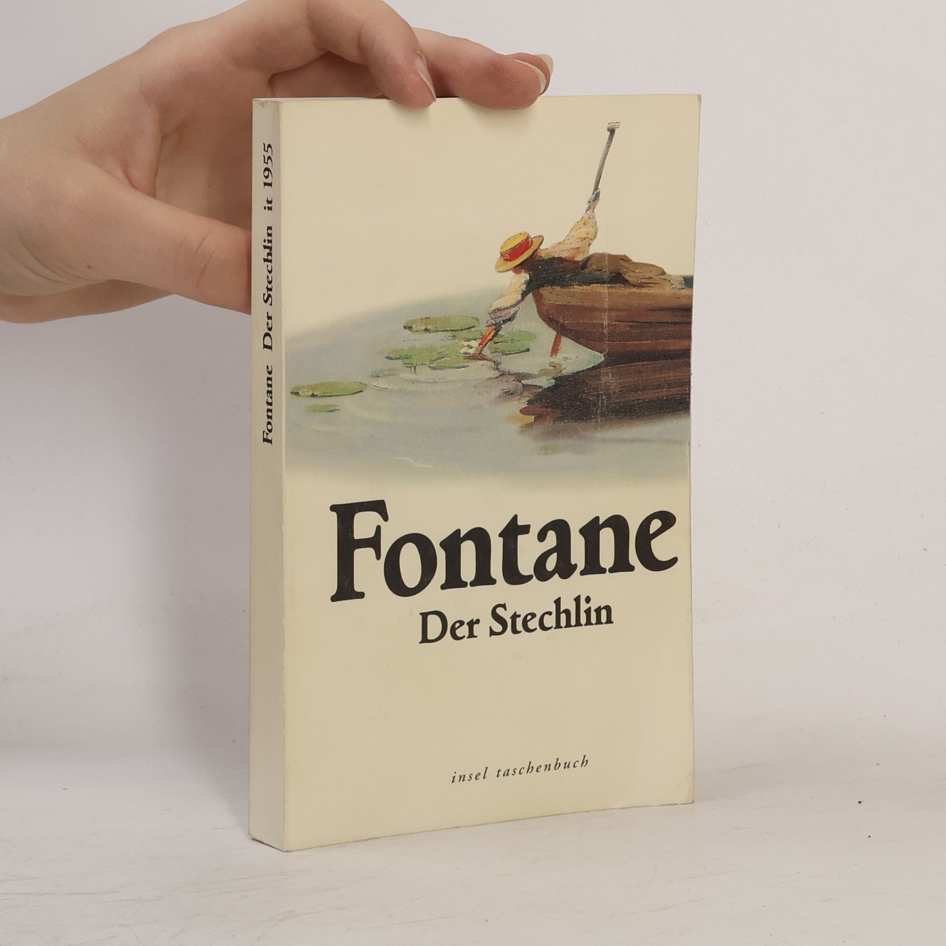 Theodor Fontane Der Stechlin