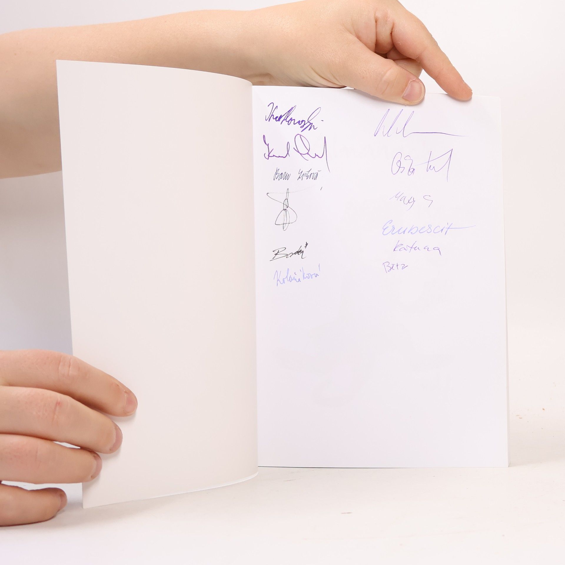 David Stringbreaker Fojtík Almanach Poezie, vole