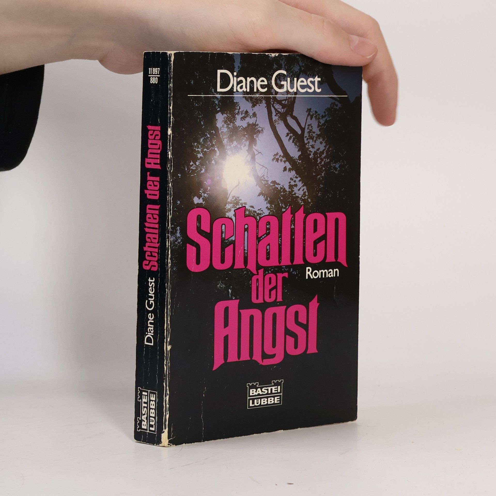 Diane Guest Schatten der Angst