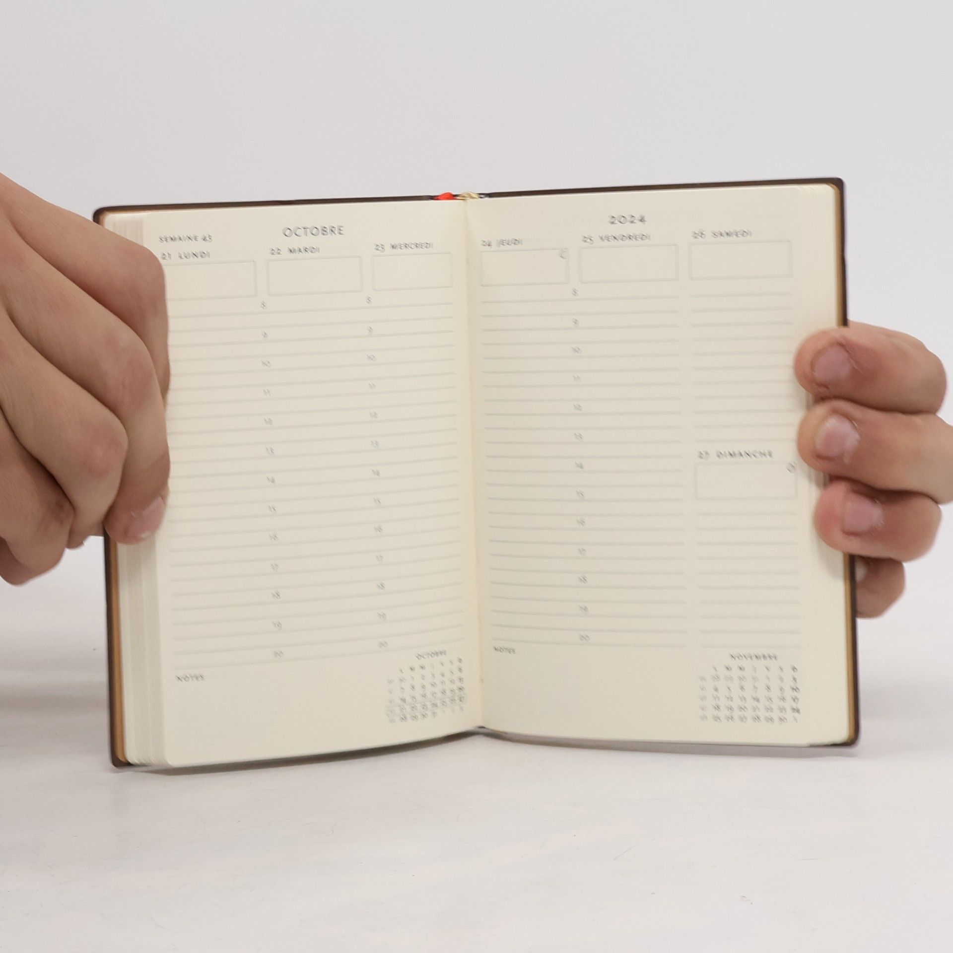 Paperblanks Flexi 12-Monatskalender 2024 Feuervogel, Vertikal - Mini (140 x 95), Französisch