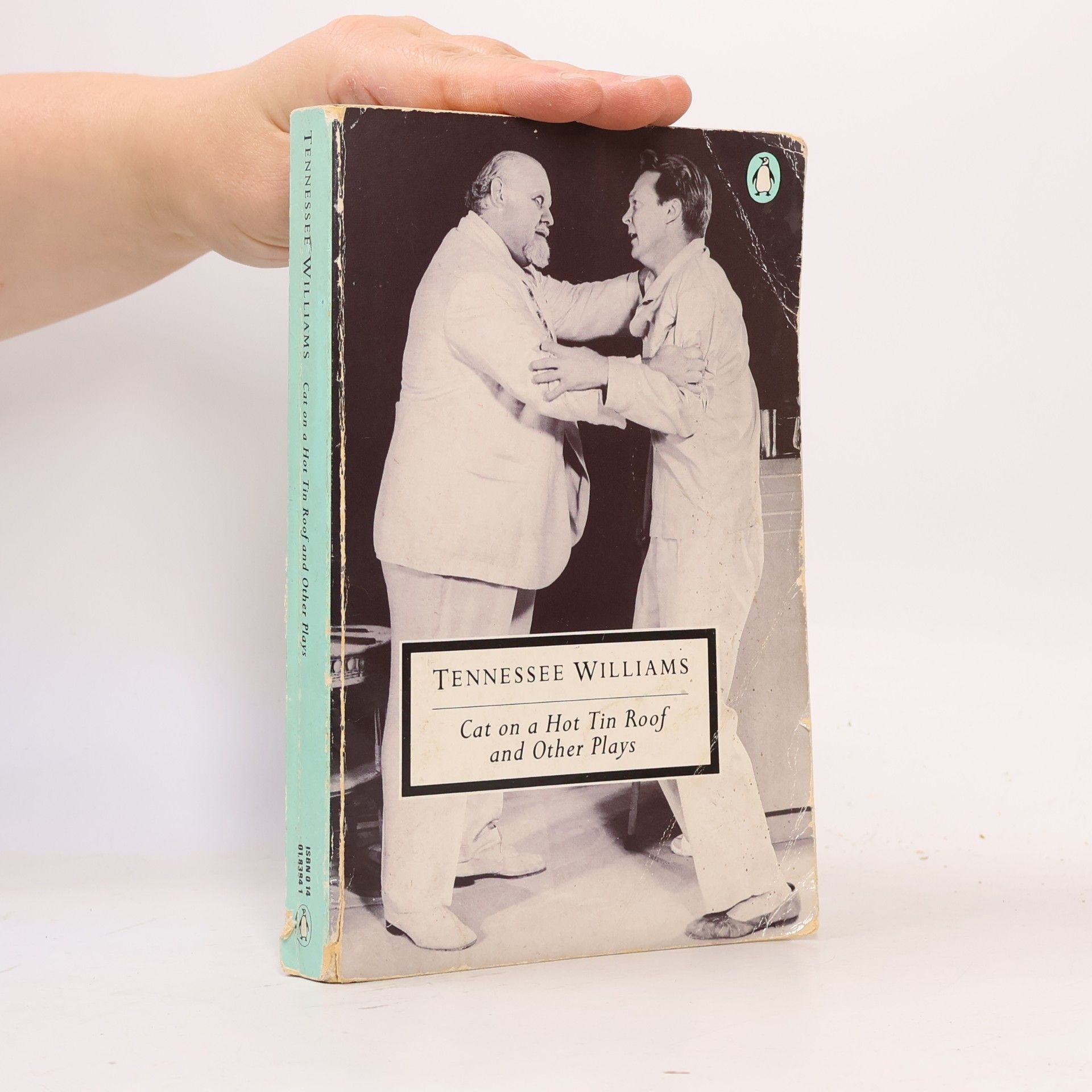 Tennessee Williams Cat on a Hot Tin Roof and Other Plays