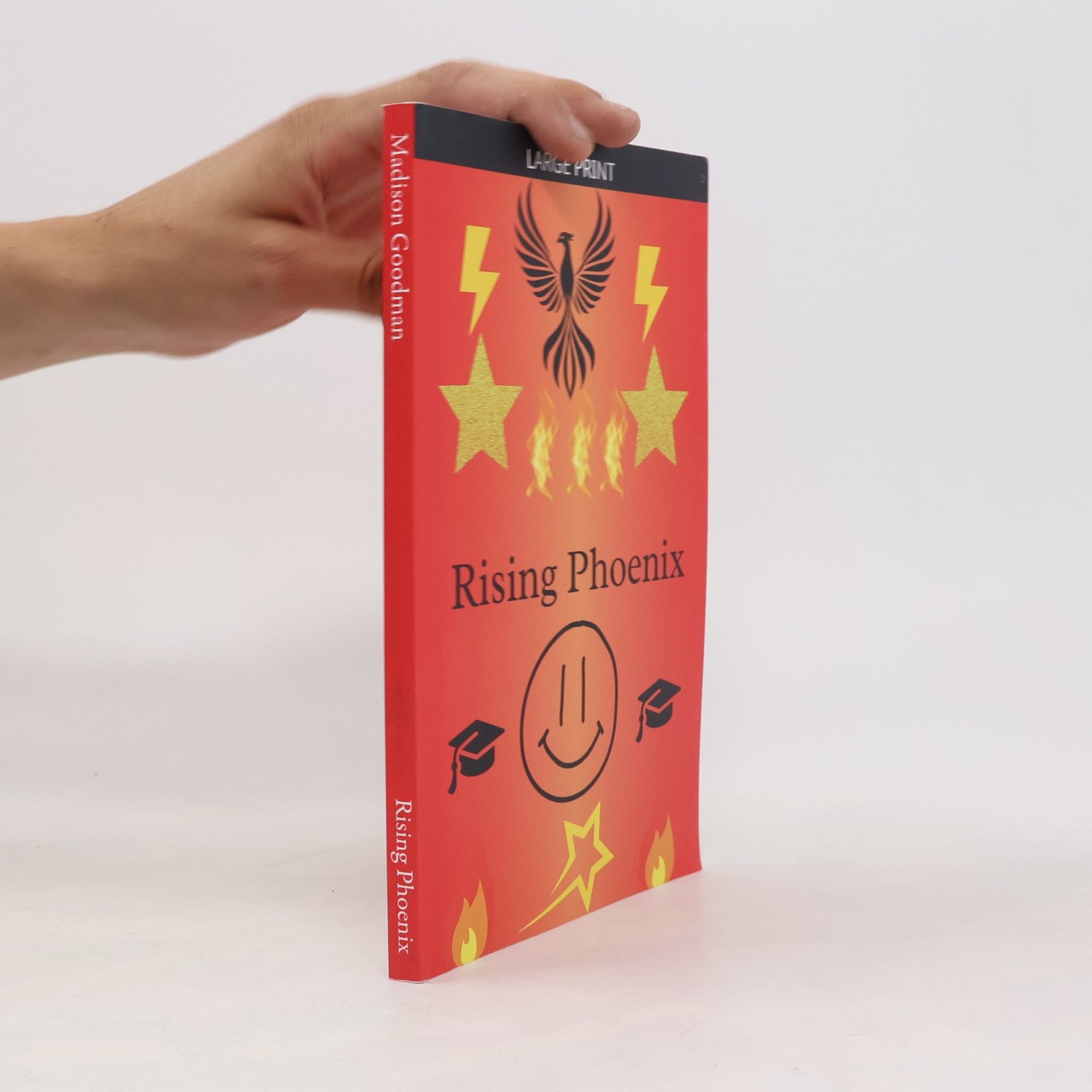 Goodman, Madison Rising Phoenix (Gemma's Journey- The Battle Within, Band 3)