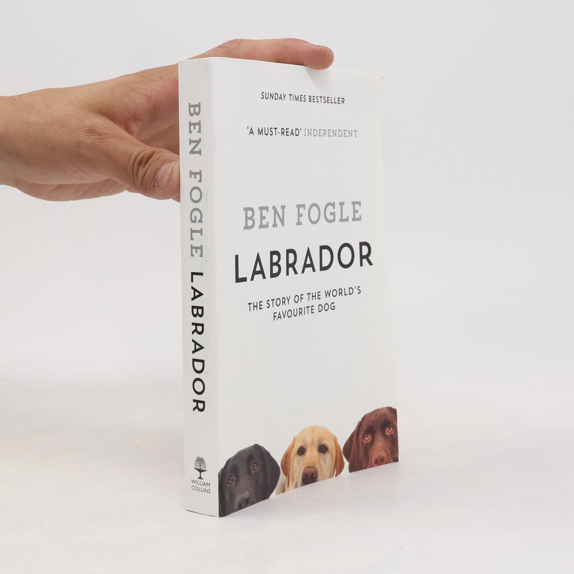 Ben Fogle Labrador