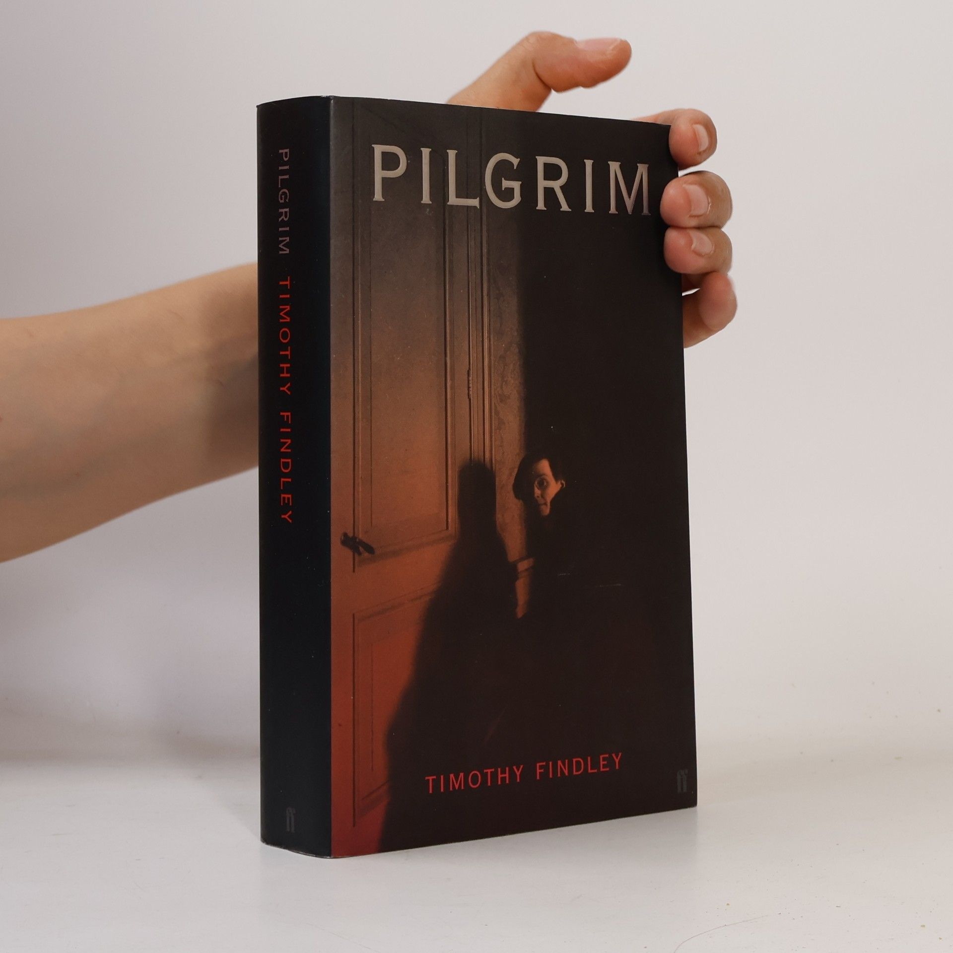 Timothy Findley Pilgrim