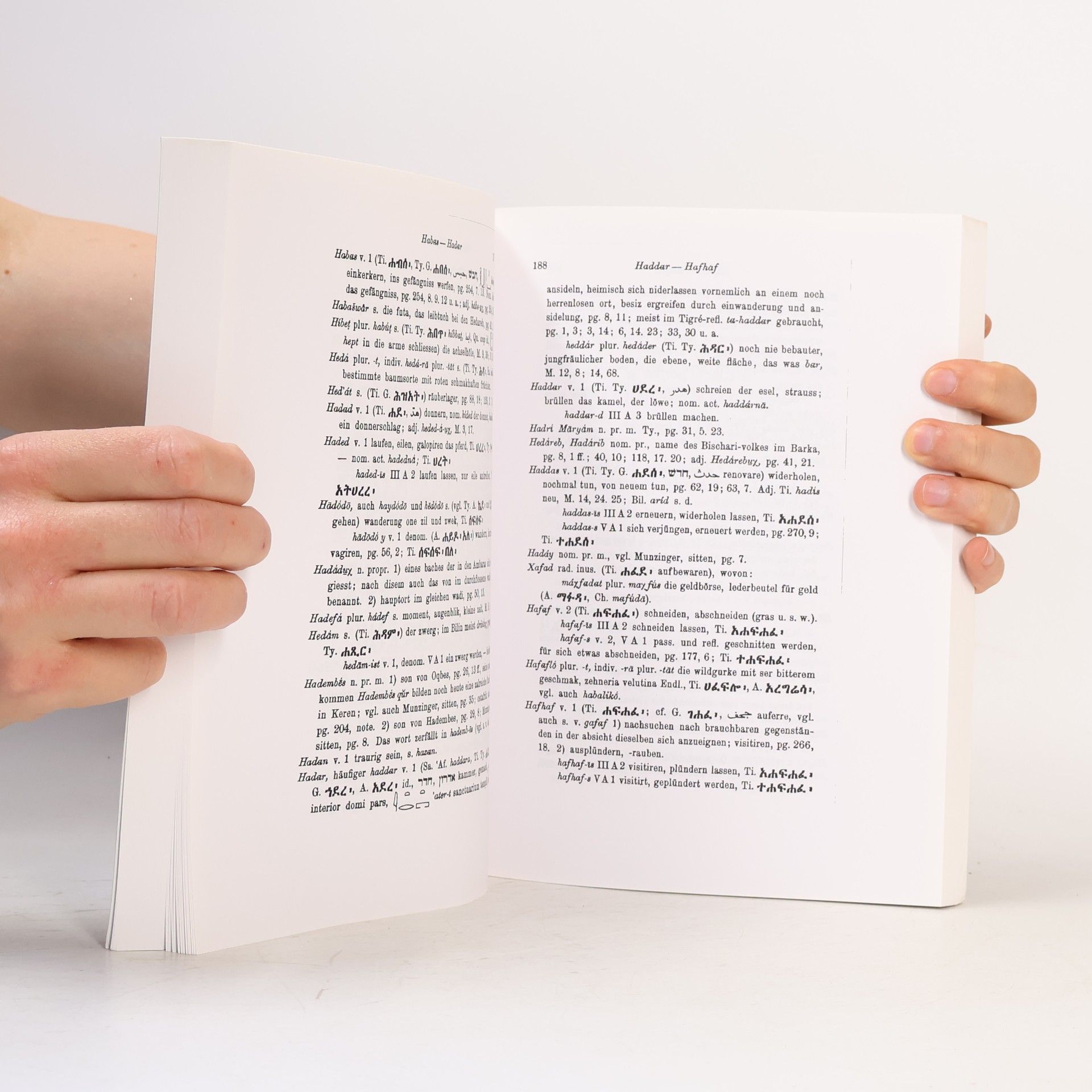 Leonhard Reinisch Wörterbuch der Bilin-Sprache