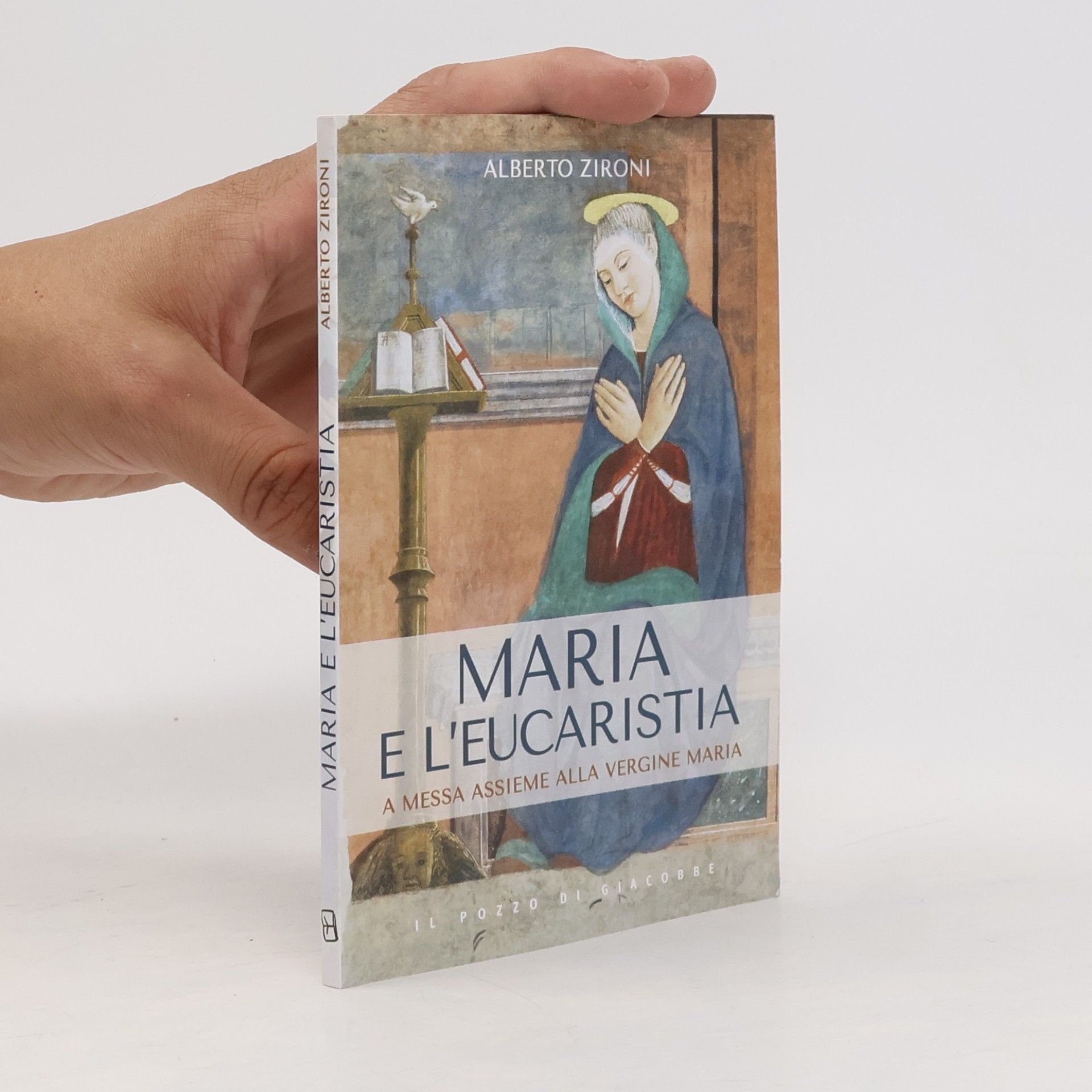 Zironi, Alberto Maria e l'eucaristia. A messa insieme alla vergine Maria (Meditazioni Riflessioni Preghiere)