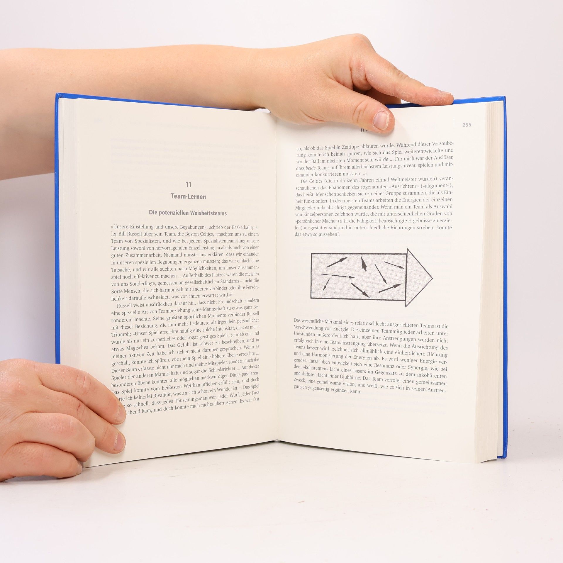 Peter M. Senge Die fünfte Disziplin