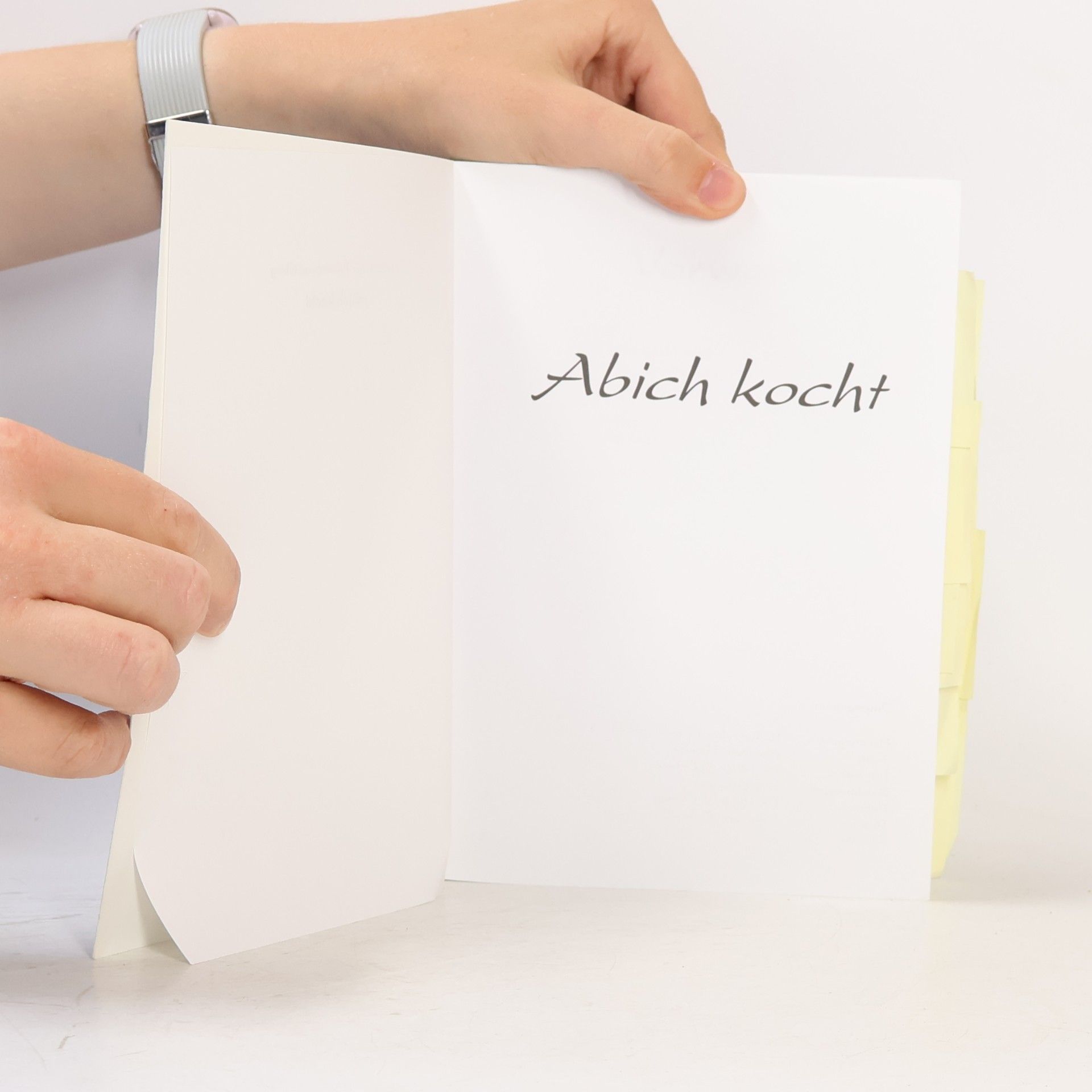 kolektiv Abich Kocht