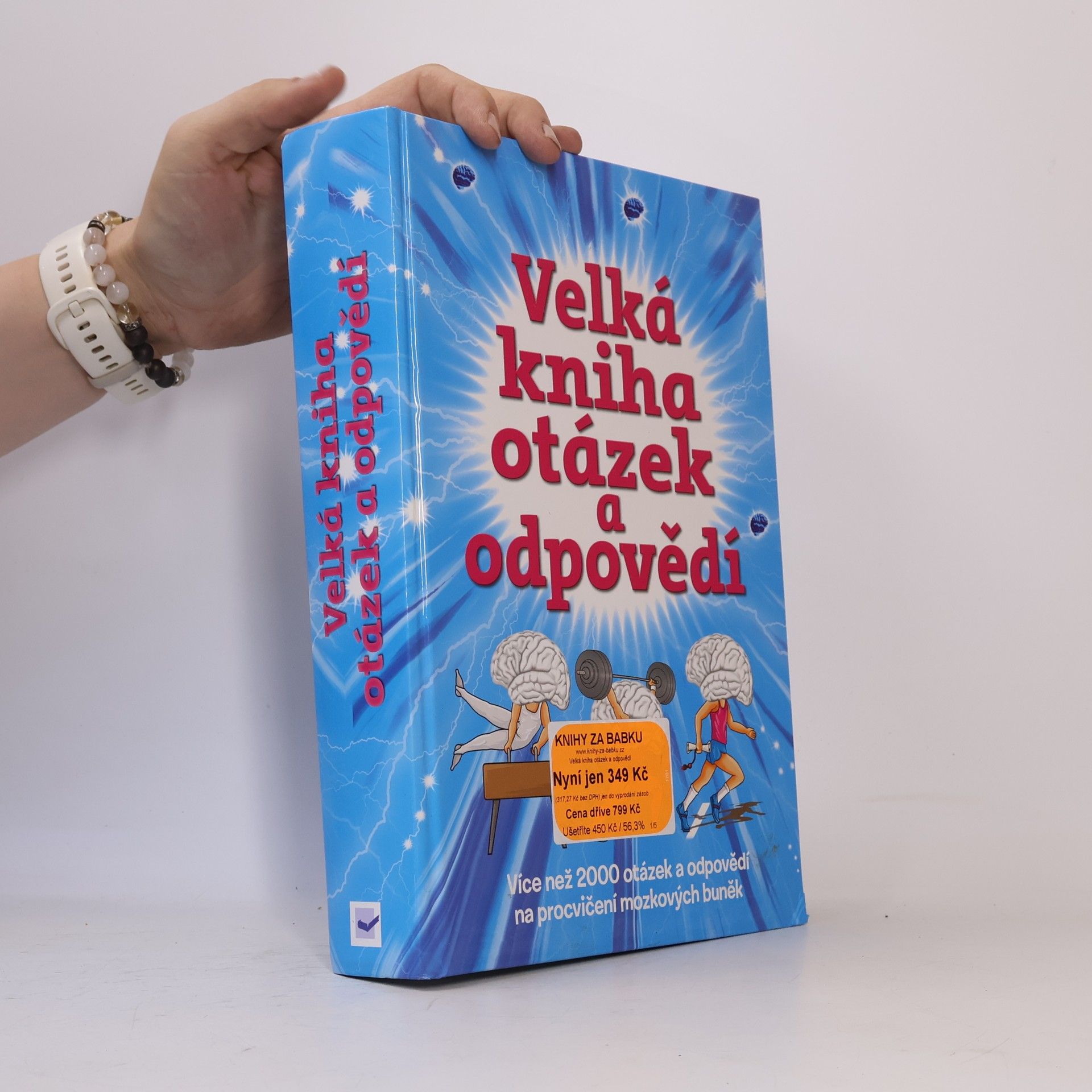 Kolektiv autorů Velká kniha otázek a odpovědí