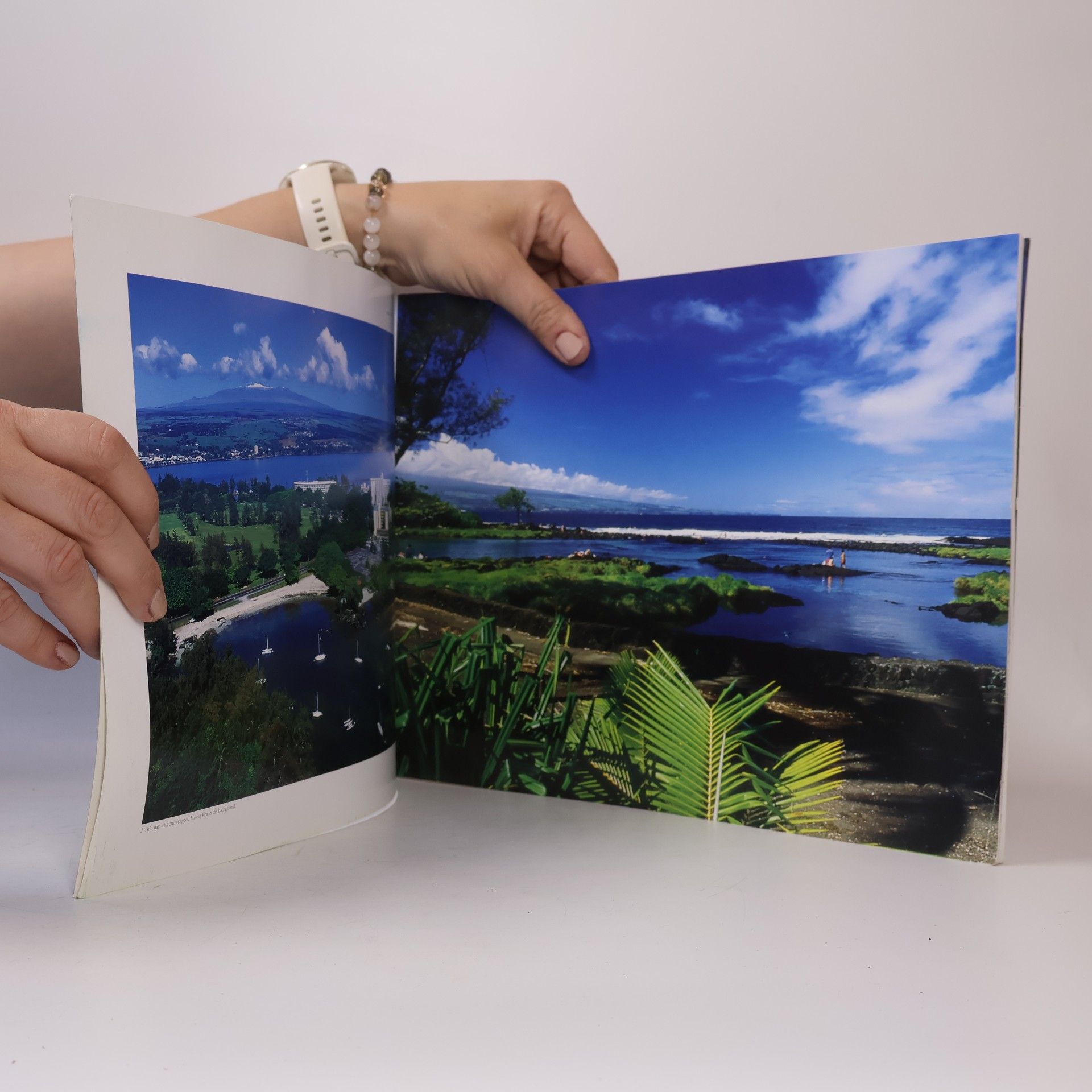 Douglas Peebles Island of Hawaii Viewbook