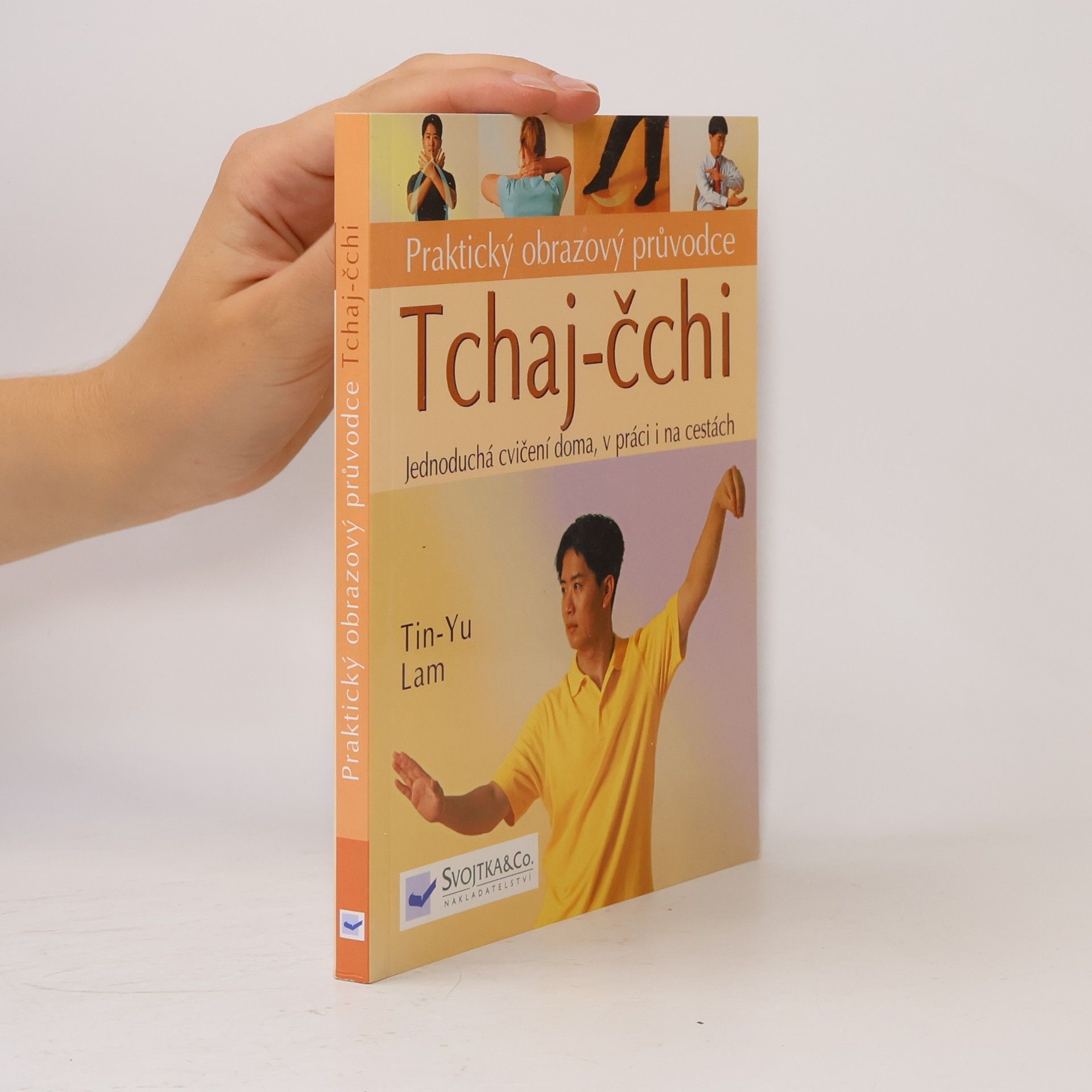 Tin Yu Lam Tchaj čchi - praktický obrazový průvodce