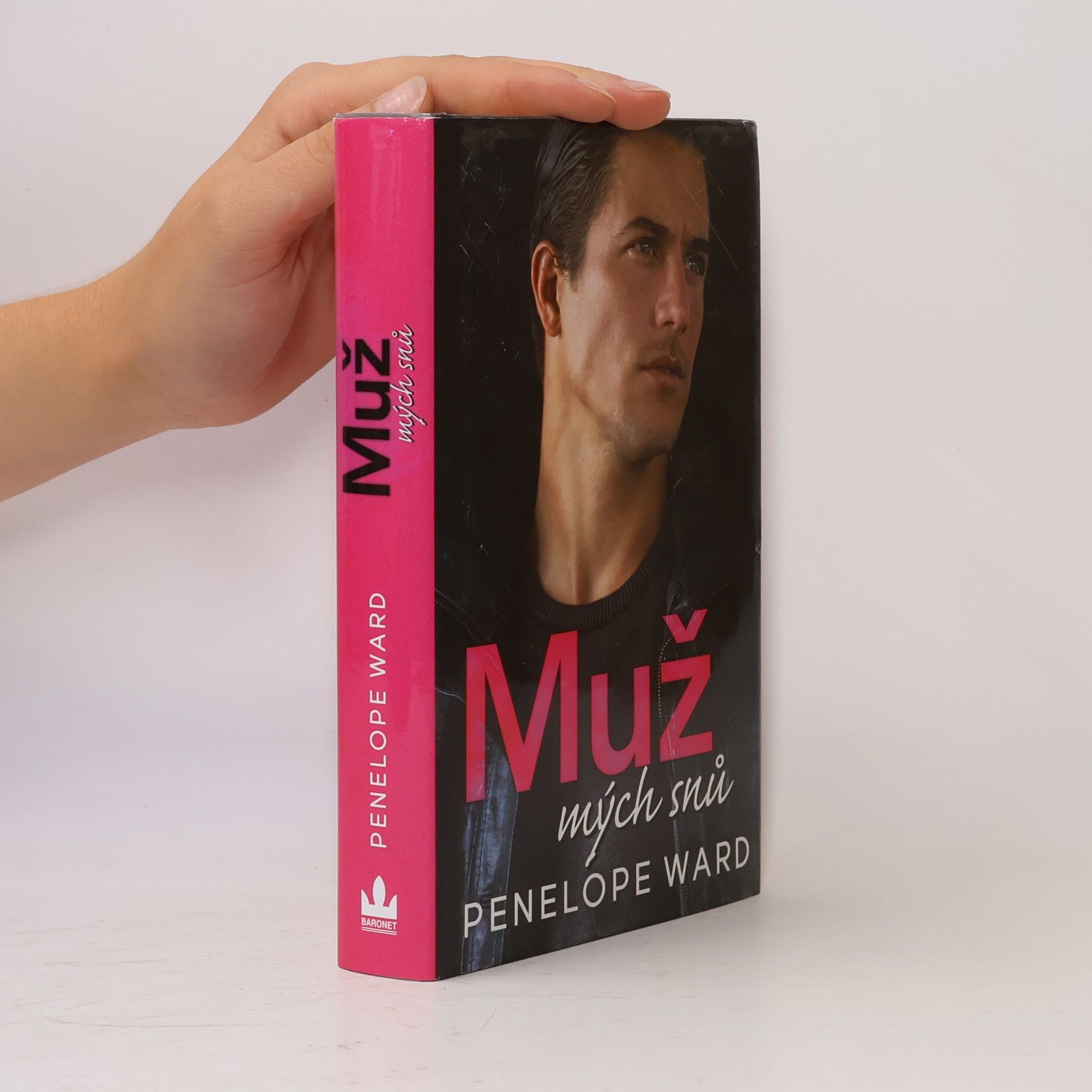 Penelope Ward Muž mých snů