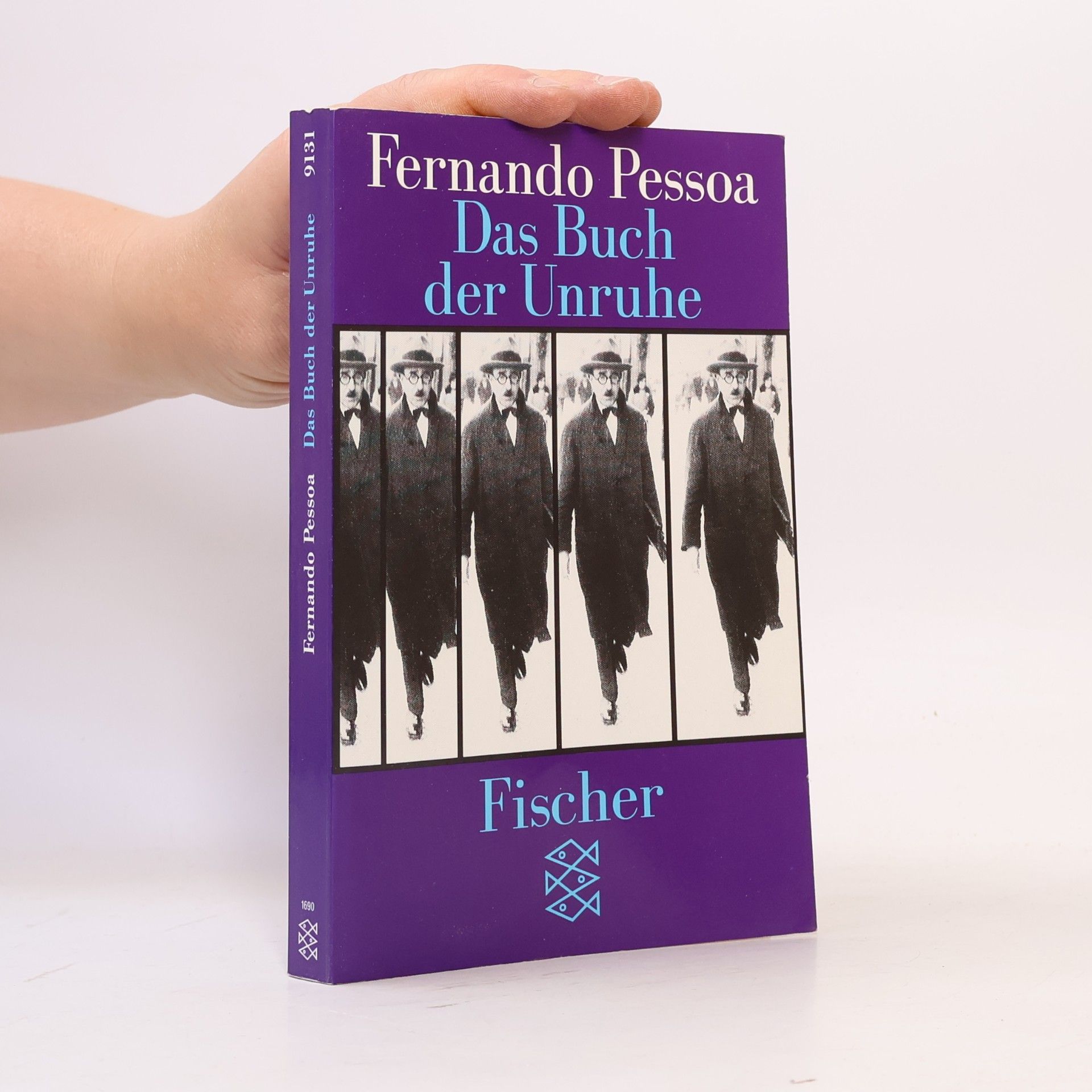 Alberto Caeiro Das Buch der Unruhe des Hilfsbuchhalters Bernardo Soares