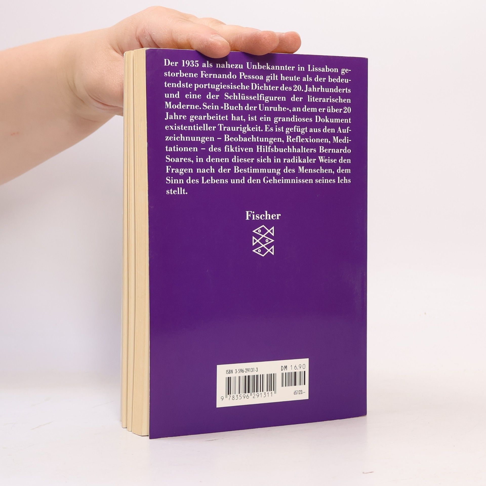 Alberto Caeiro Das Buch der Unruhe des Hilfsbuchhalters Bernardo Soares