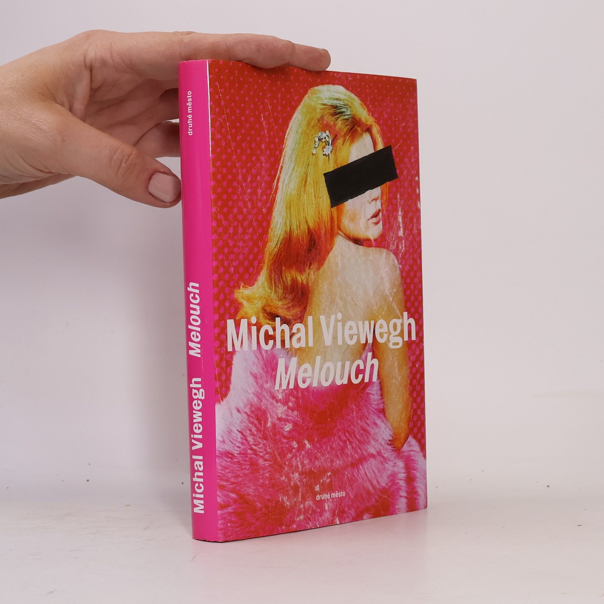 Michal Viewegh Melouch