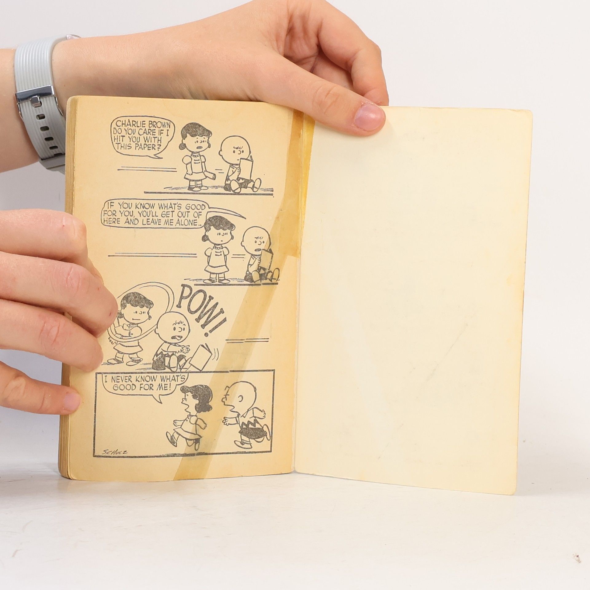 Charles Shulz The Wonderful World of Peanuts