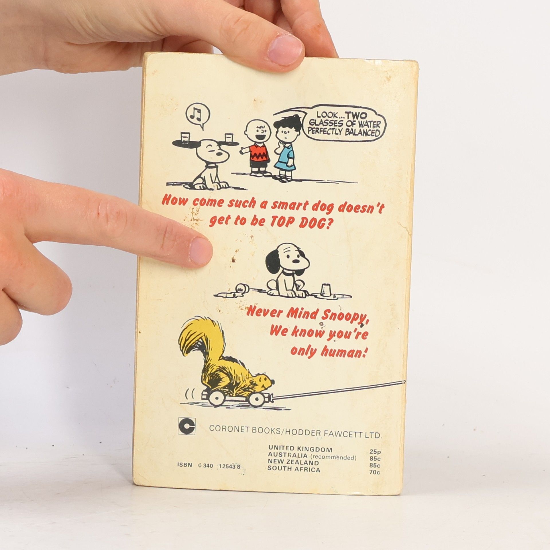 Charles Shulz The Wonderful World of Peanuts
