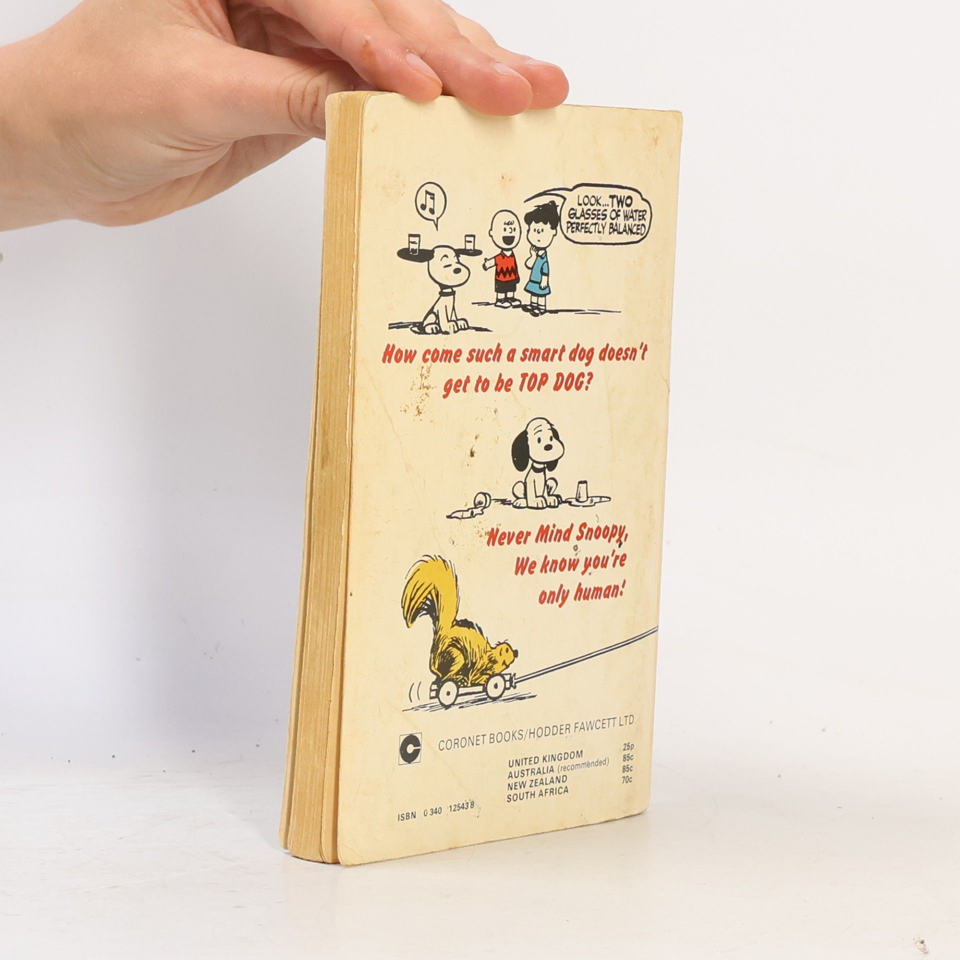 Charles Shulz The Wonderful World of Peanuts