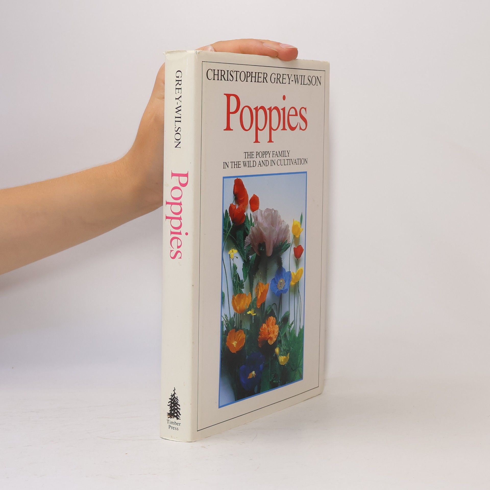 Christopher Grey-Wilson Poppies
