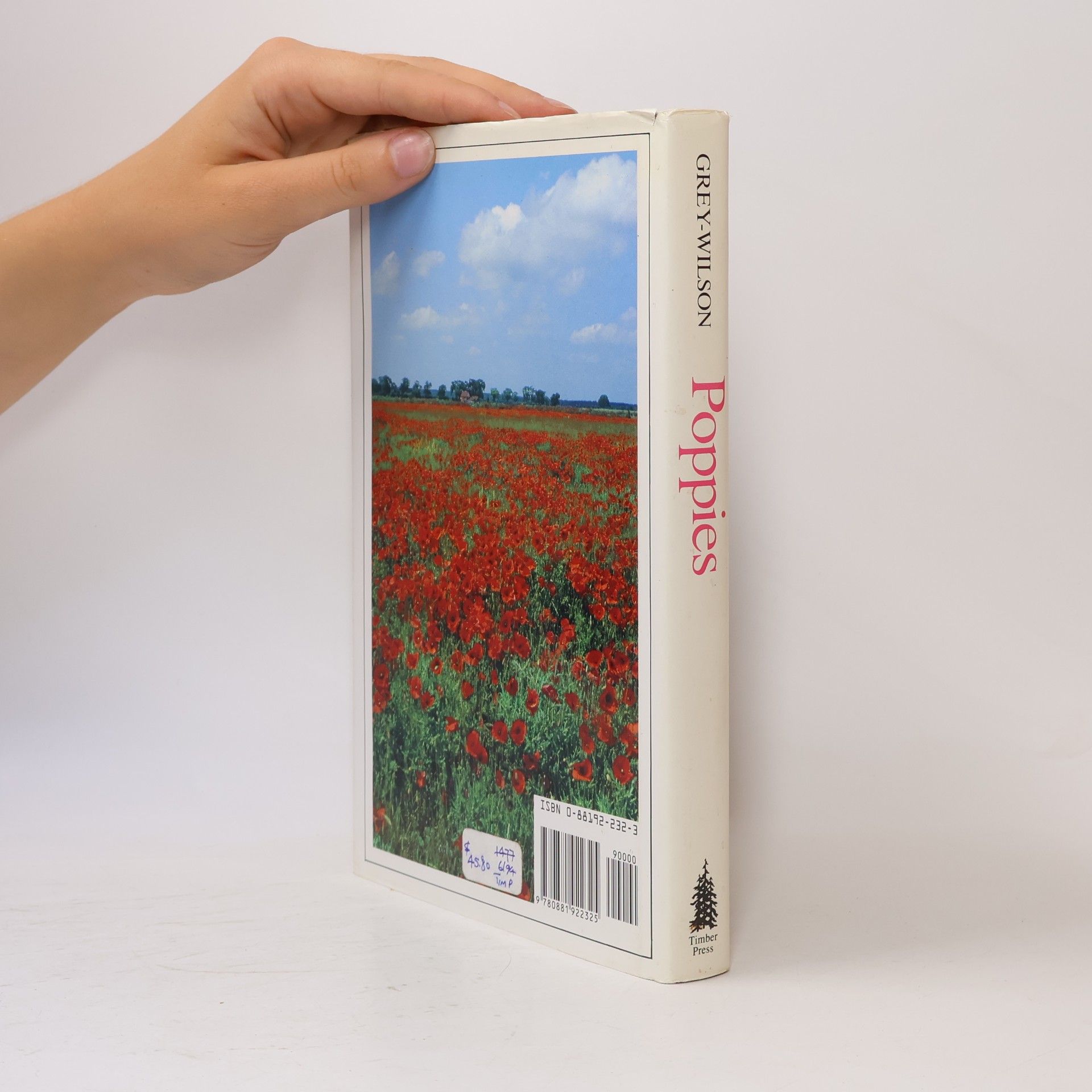 Christopher Grey-Wilson Poppies