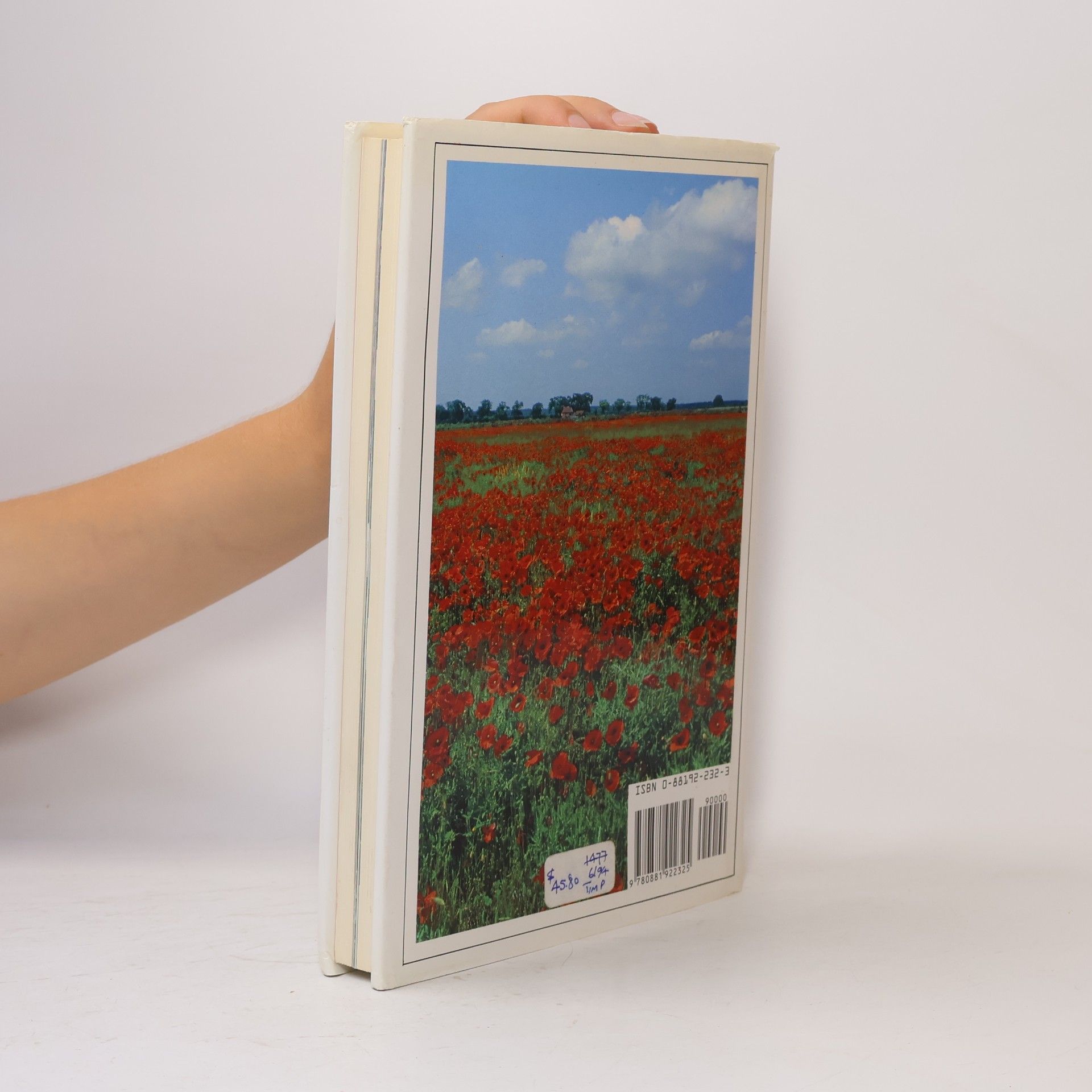 Christopher Grey-Wilson Poppies