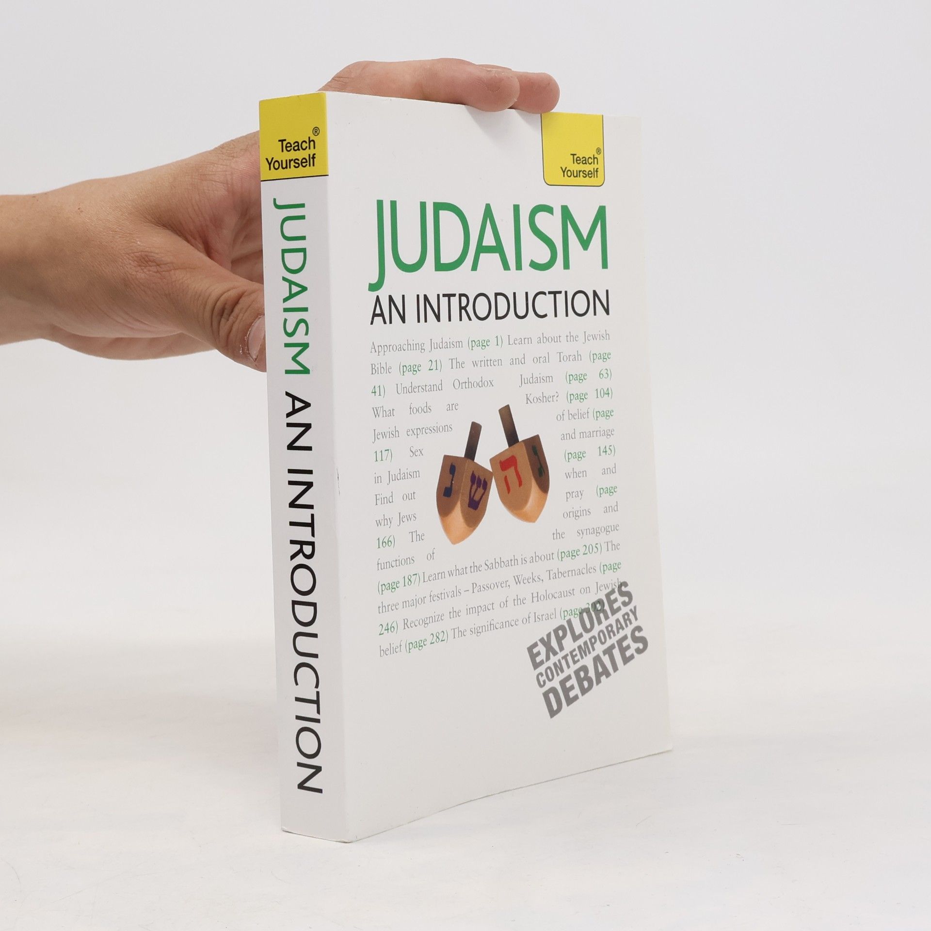 Marc Hoffman Judaism - An Introduction: Teach Yourself