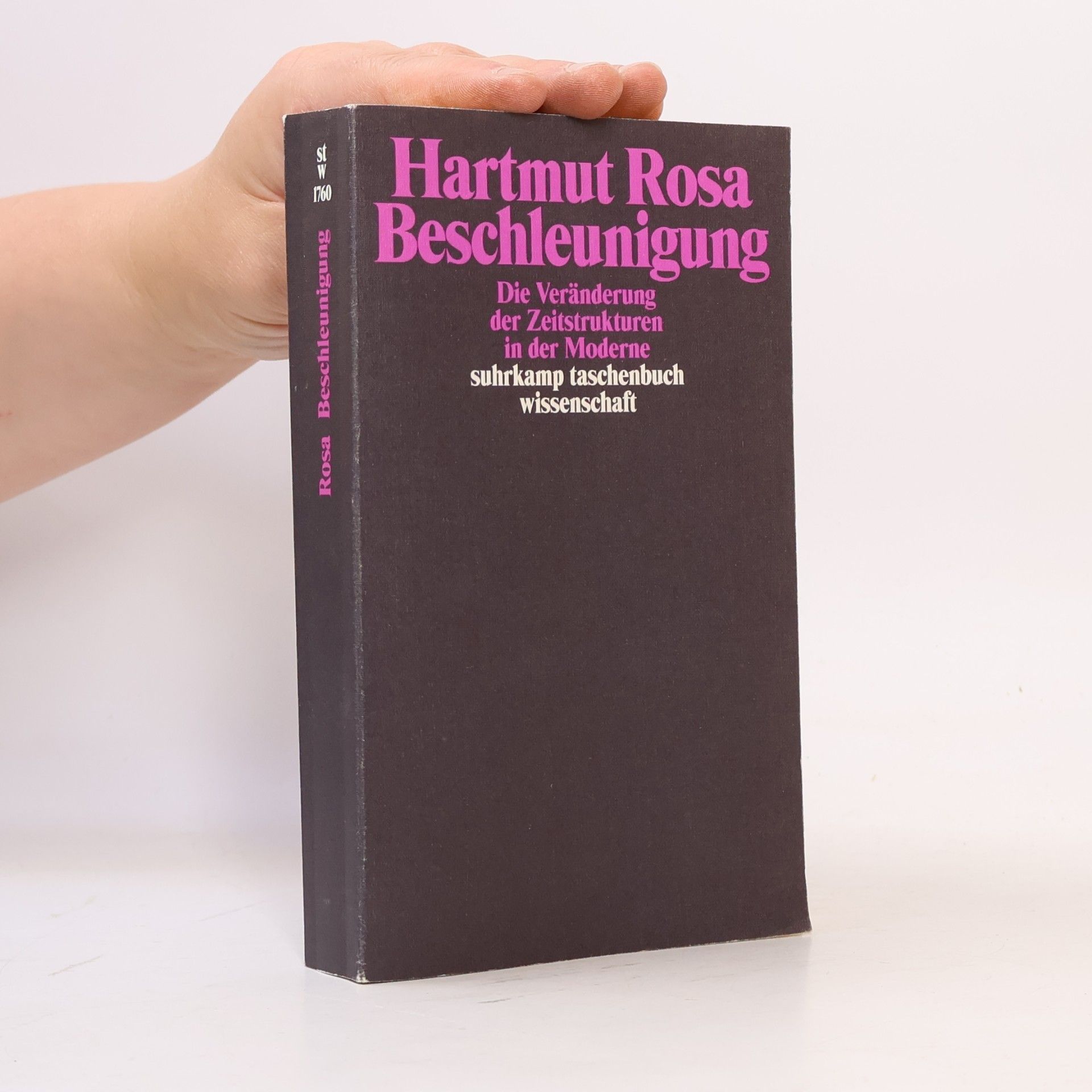 Hartmut Rosa Beschleunigung