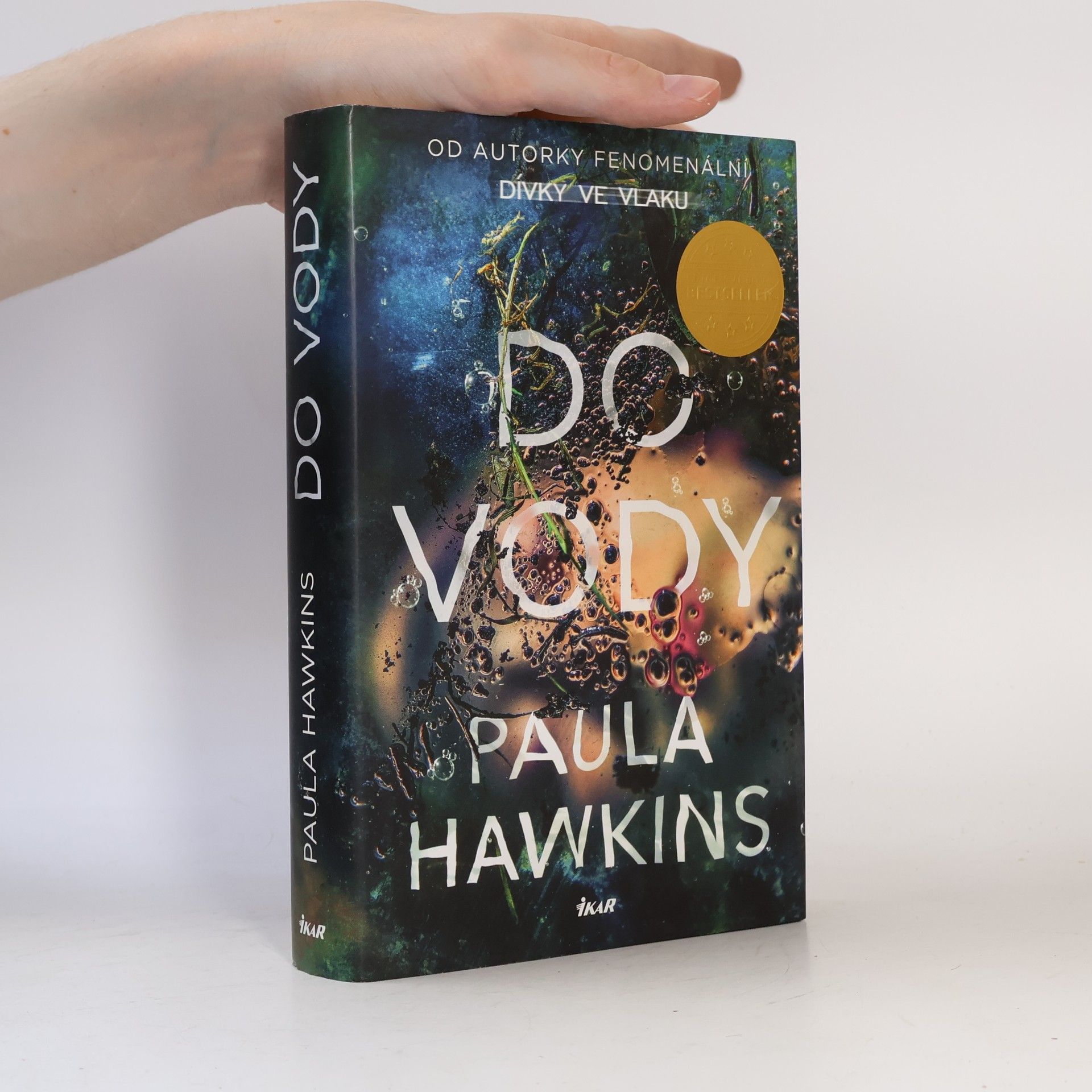 Paula Hawkinsová Do vody