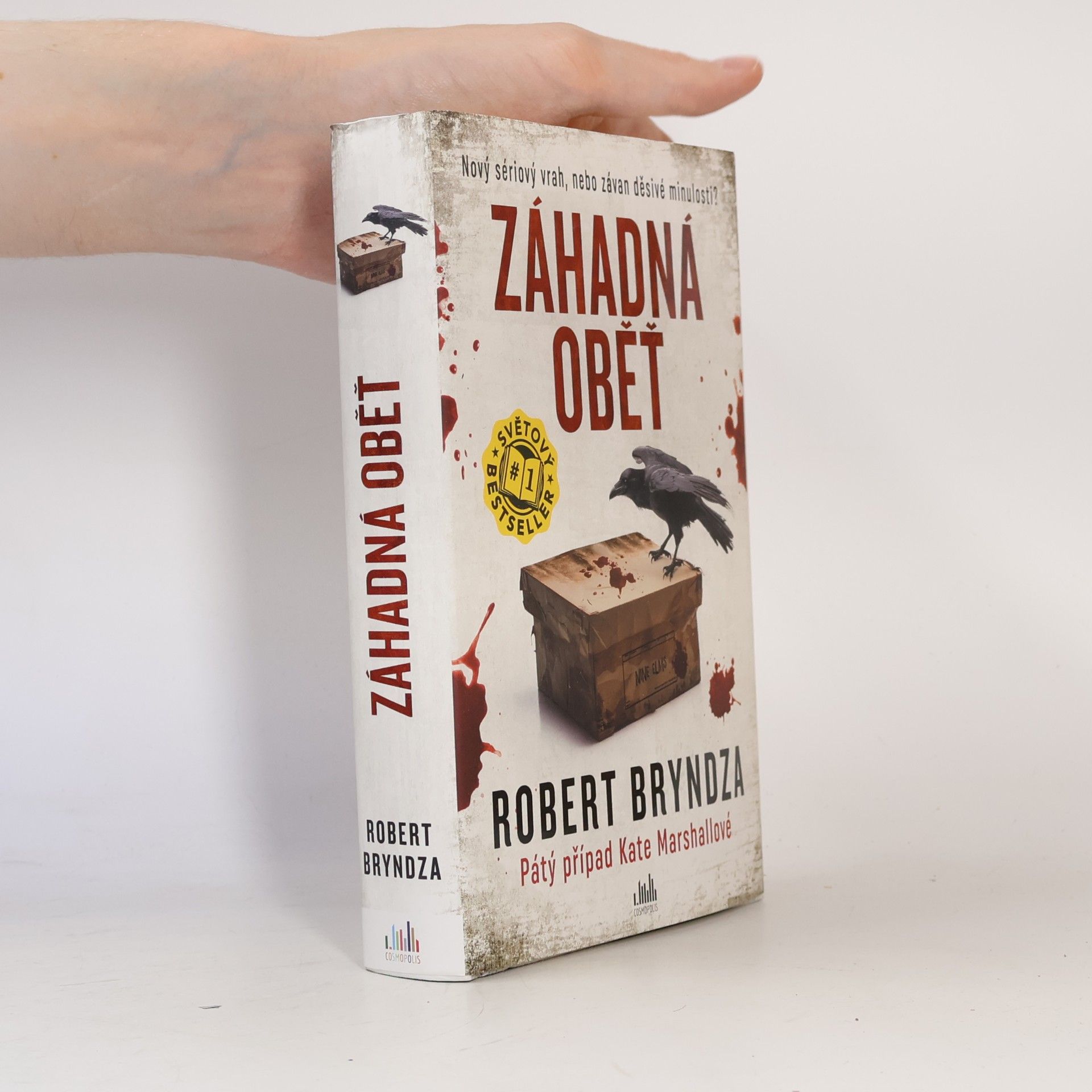 Robert Bryndza Záhadná oběť